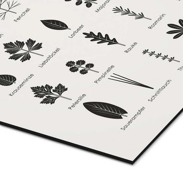 Posterlounge Alu-Dibond-Druck Iris Luckhaus, Beliebte Küchenkräuter, Küche Skandinavisch Grafikdesign