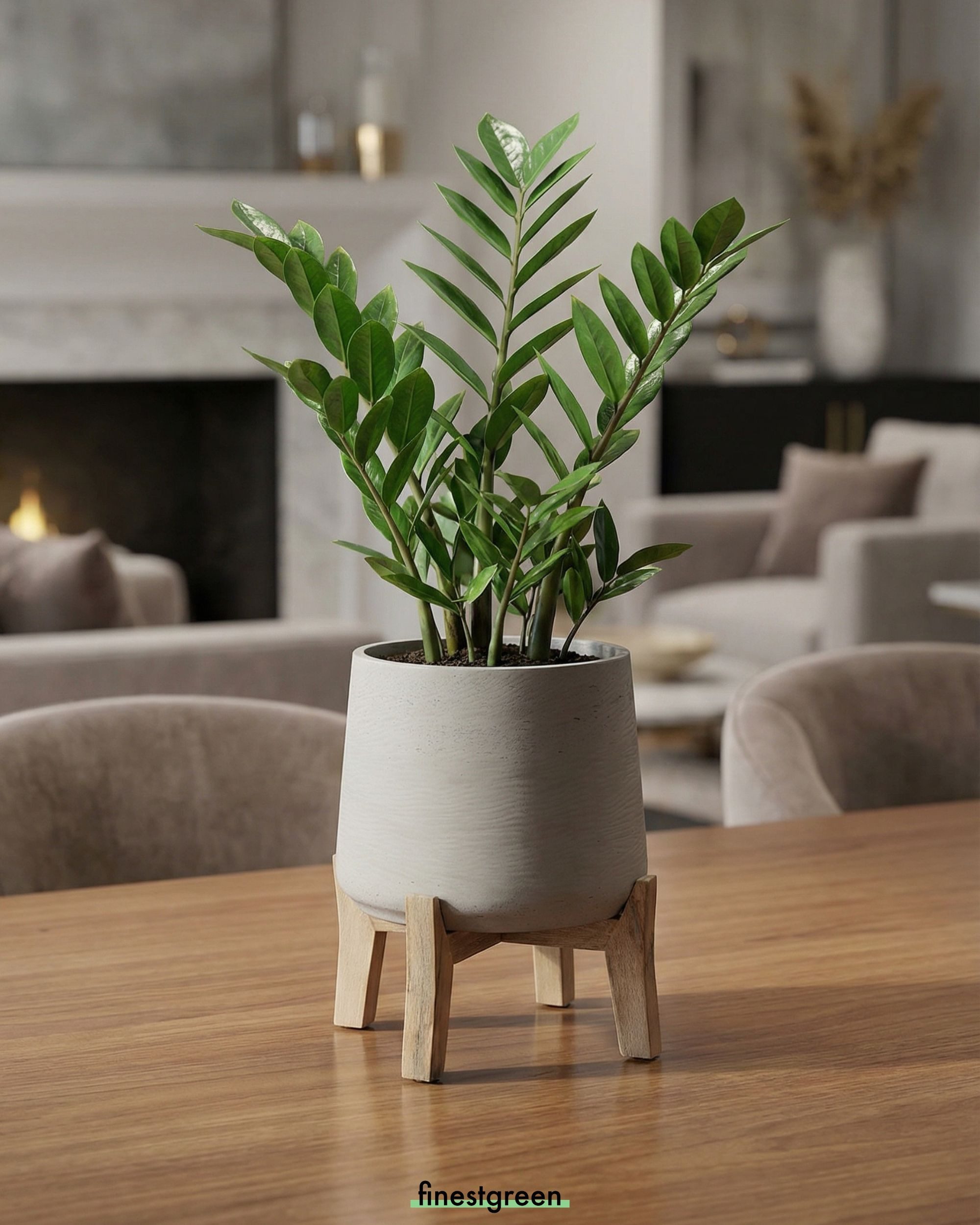 finestgreen Pflanzkübel Patt Feet Low, Fiberclay Pflanzkübel mit Holzfüßen günstig online kaufen