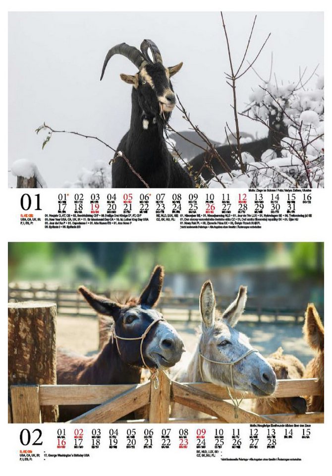 Thumbnail - Seelenzauber Tischkalender Tierzauber Bauernhof DIN A5 Kalender für 2025 verschiedene Tiere