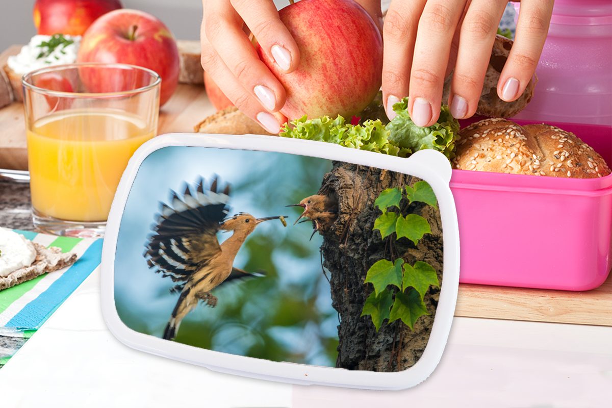 MuchoWow Lunchbox Ein Brotdose Erwachsene, seine Brotbox Kinder, füttert Kunststoff Wiedehopf Kunststoff, Jungen im Nest, rosa Mädchen, (2-tlg), für Snackbox