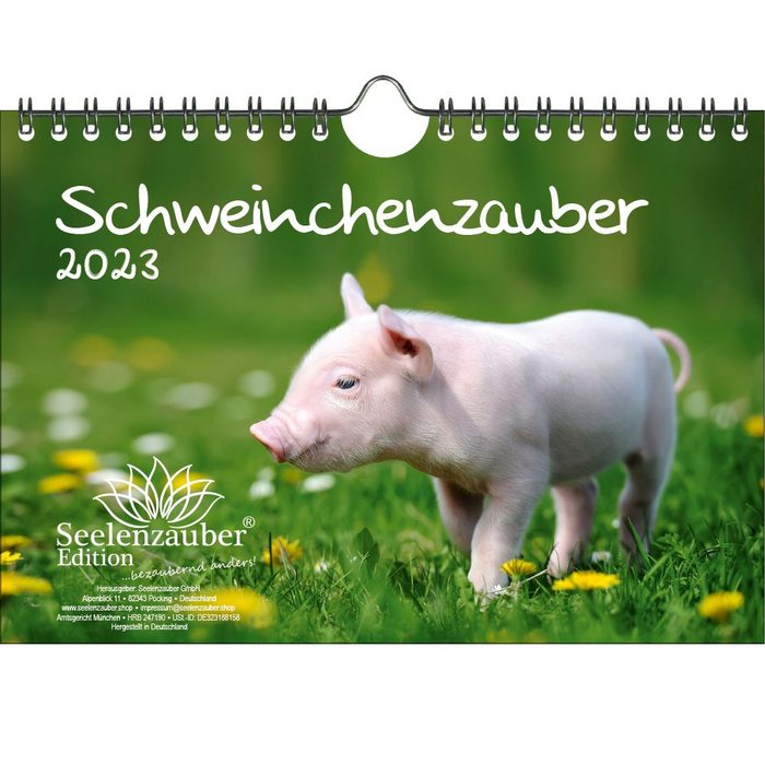 Seelenzauber Wandkalender Schweinchenzauber DIN A5 Wandkalender für 2023 Schweinchen - Seelenzau