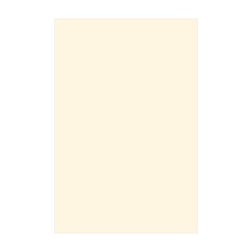 Teppich Vinyl Wohnzimmer Schlafzimmer Flur Küche Einfarbig modern, Bilderdepot24, rechteckig - beige glatt, nass wischbar (Küche, Tierhaare) - Saugroboter & Bodenheizung geeignet