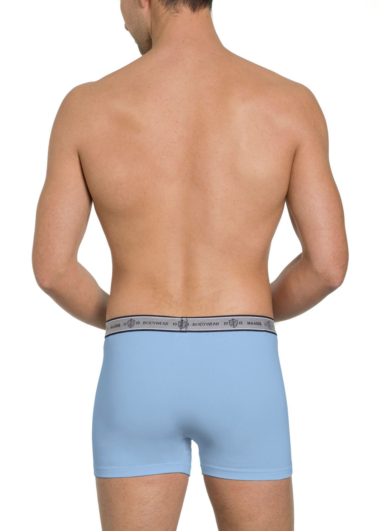 HAASIS Bodywear 1919 2er strapazierfähig Pants (Packung, Pack) 77270413-mehrfarbig Passform, Herren Retro hautsympatisch, pflegeleicht, 2-St., Optimale Pants