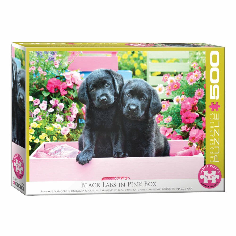 EUROGRAPHICS Puzzle Schwarze Labradore in einer rosa Schachtel, 500 Puzzleteile