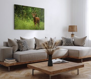 Sinus Art Leinwandbild 120x80cm Wandbild auf Leinwand Junger Hirsch im Wald Natur Grün Tierfo, (1 St)
