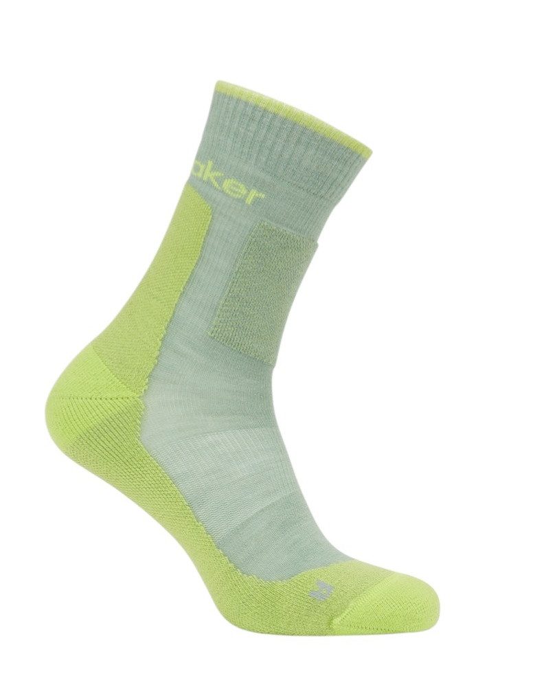 Icebreaker Wandersocken Crew Hike+ Medium (Merinowolle, strapazierfähig, leicht) grün Herren