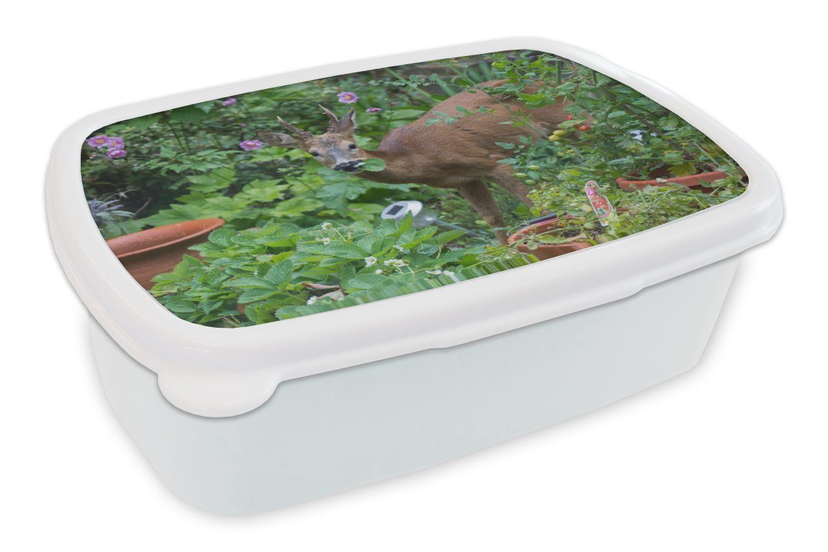 MuchoWow Lunchbox Hirsche - Erdbeere - Garten, Kunststoff, (2-tlg), Brotbox für Kinder und Erwachsene, Brotdose, für Jungs und Mädchen weiß