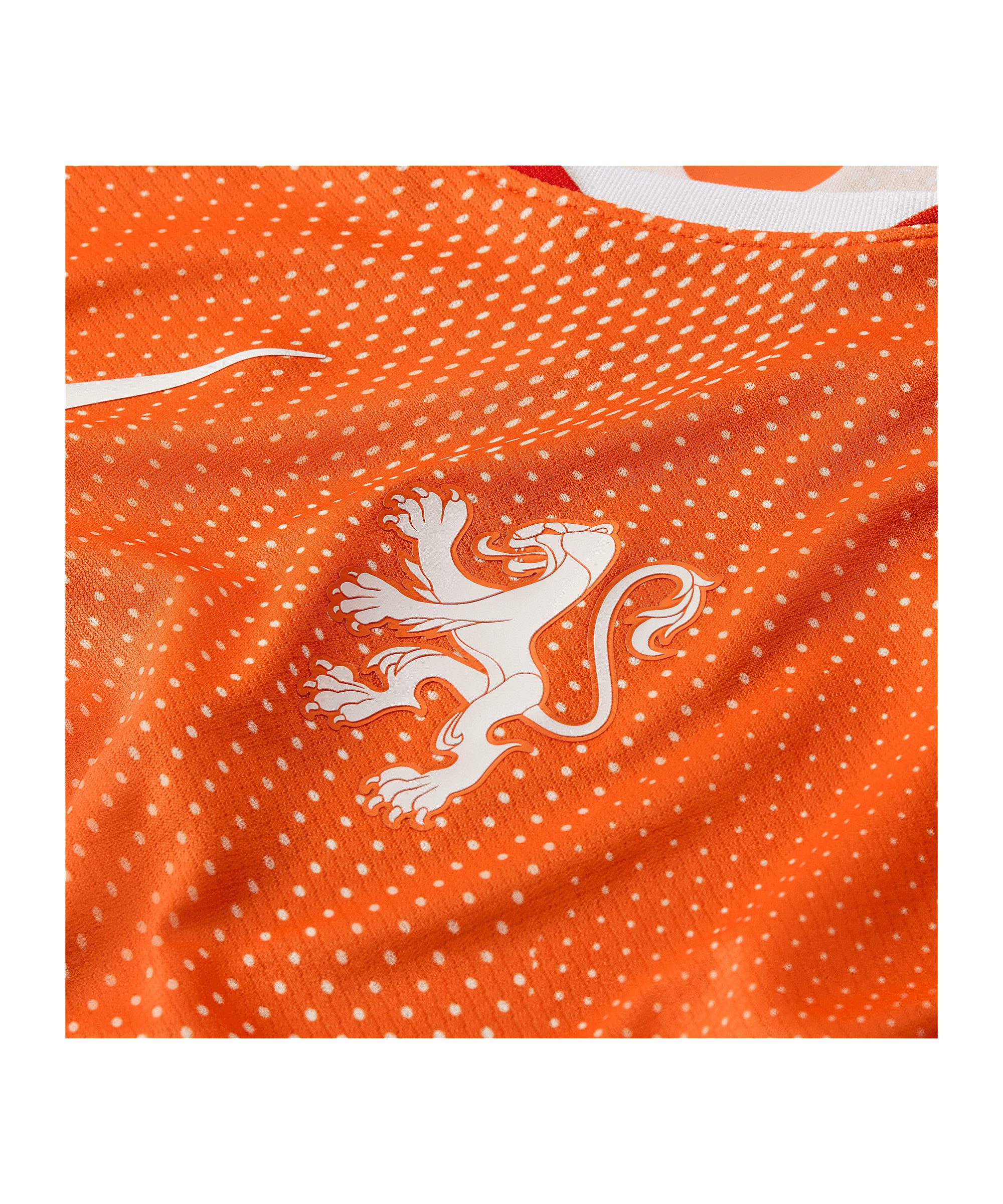Nike Fußballtrikot Nike Performance Teamsport