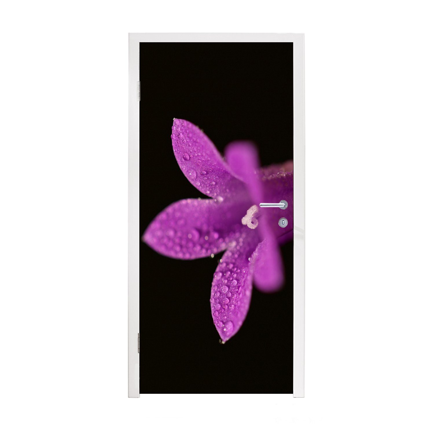 Türaufkleber, schwarzem St), auf Türtapete cm Nahaufnahme MuchoWow bedruckt, für lila Tür, Hintergrund, Eine Fototapete Lilie (1 75x205 Matt, einer