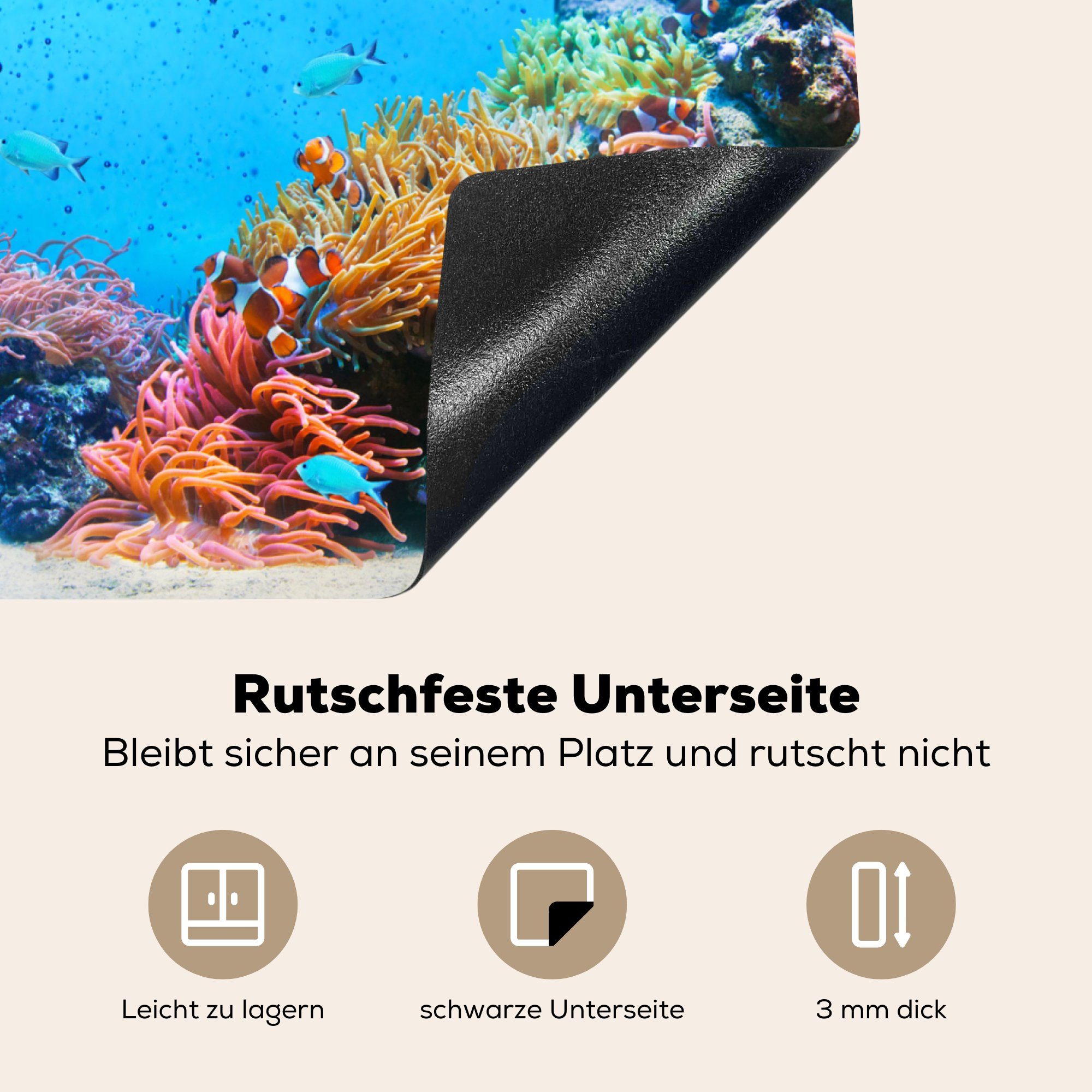 tlg), MuchoWow die küche, (1 cm, Herdblende-/Abdeckplatte - Ceranfeldabdeckung 59x52 Meer Farben, - für Fische Vinyl, Induktionsmatte