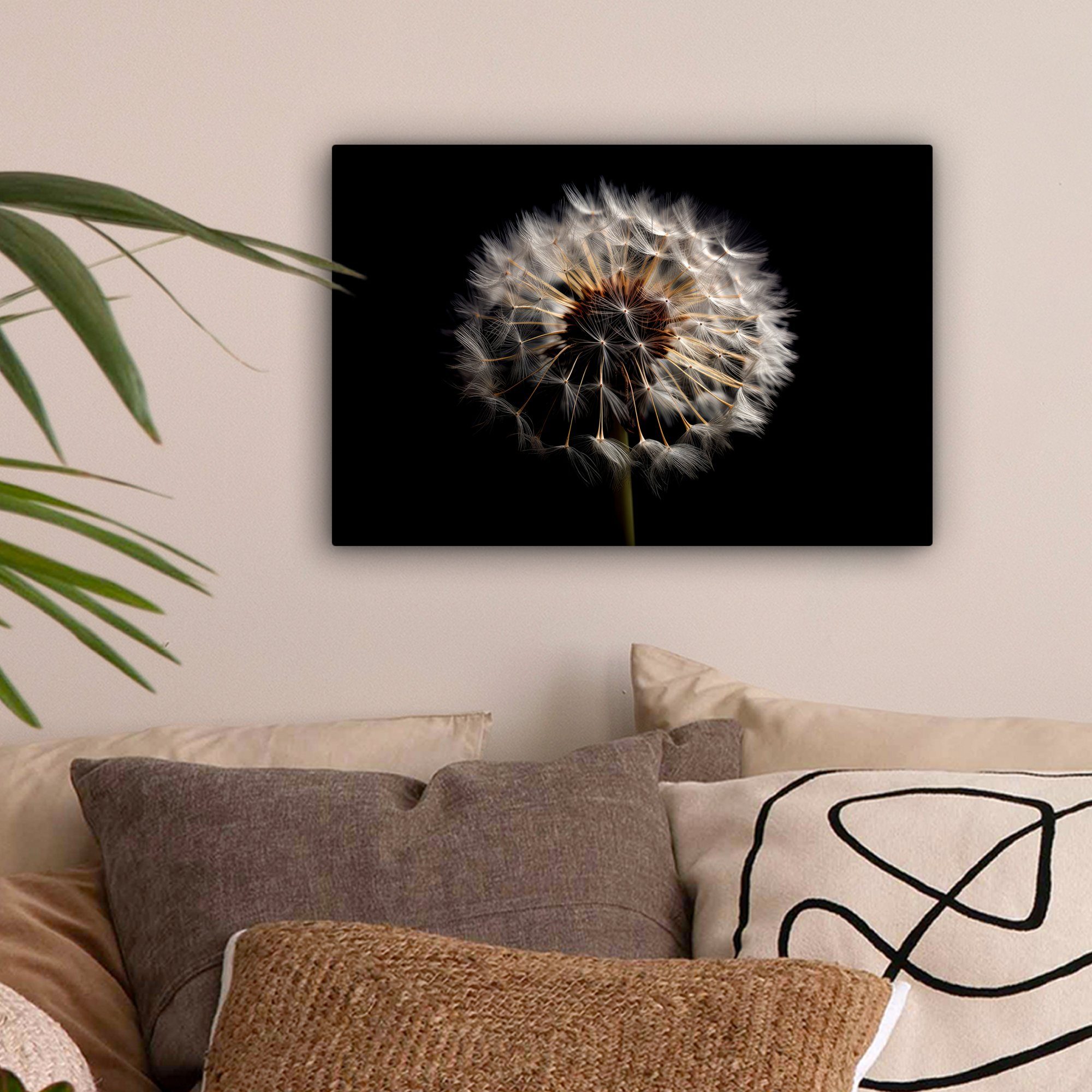 Schwarz - - - Löwenzahn Natur cm St), 30x20 Porträt, Wanddeko, OneMillionCanvasses® - (1 Blumen Aufhängefertig, Leinwandbilder, Wandbild Leinwandbild