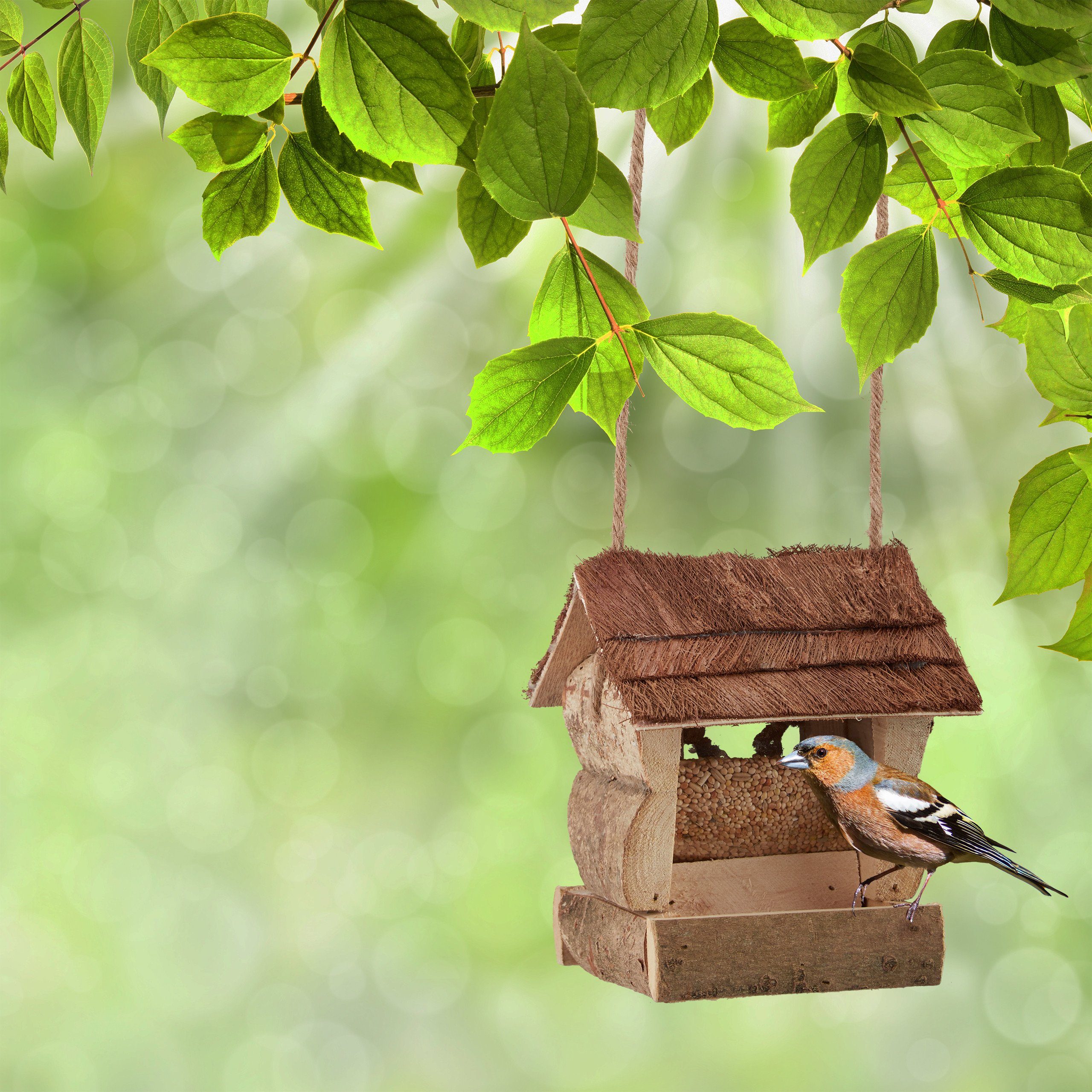 relaxdays Vogelhaus Vogelfutterhaus zum Aufhängen