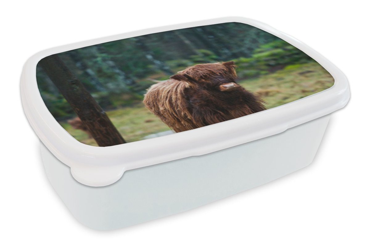 MuchoWow Lunchbox Schottischer Hochländer - Wald - Moos, Kunststoff, (2-tlg), Brotbox für Kinder und Erwachsene, Brotdose, für Jungs und Mädchen weiß