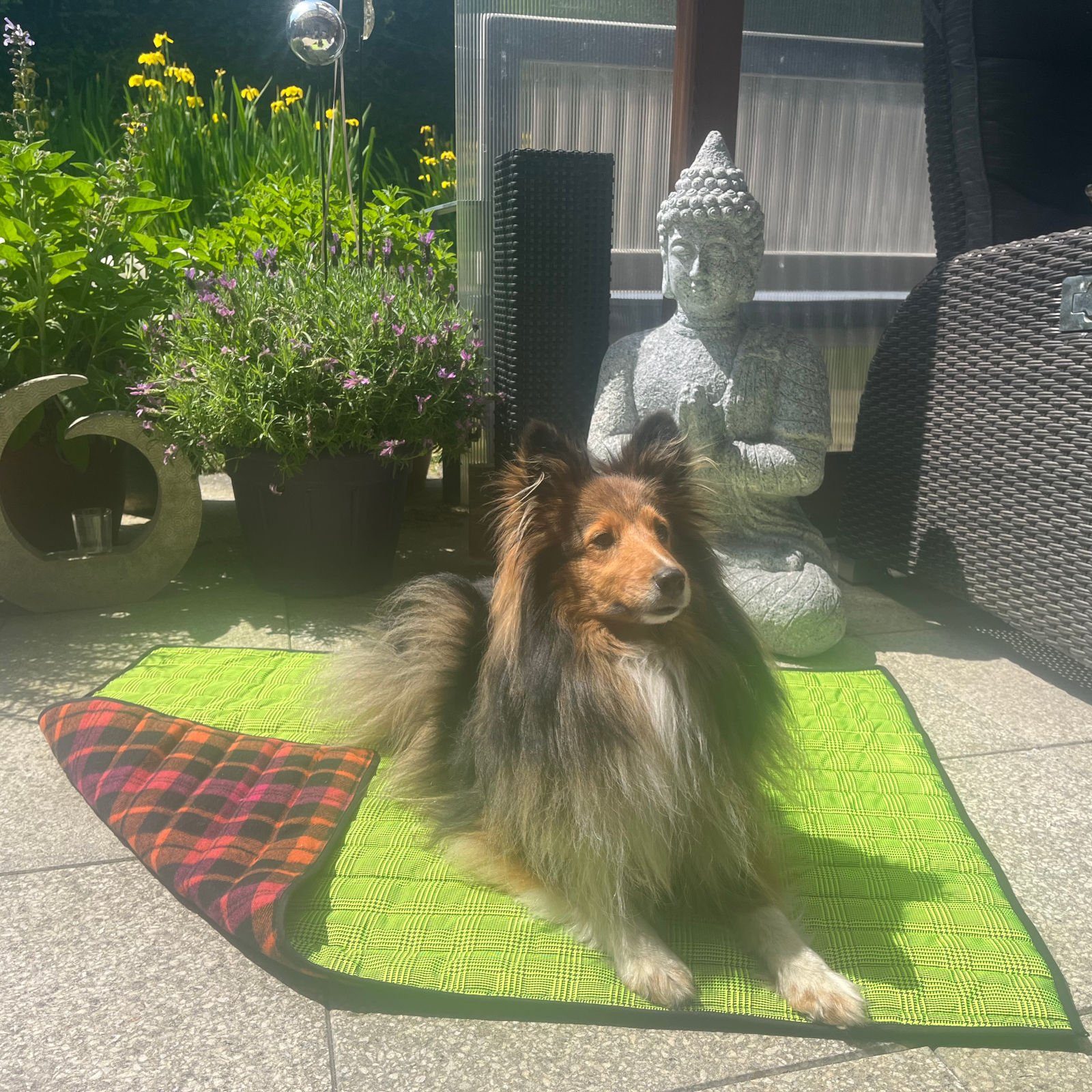 Fashion Dog Tierdecke Double-Face Hundedecke, 100 x 70 cm, Yellow Tartan