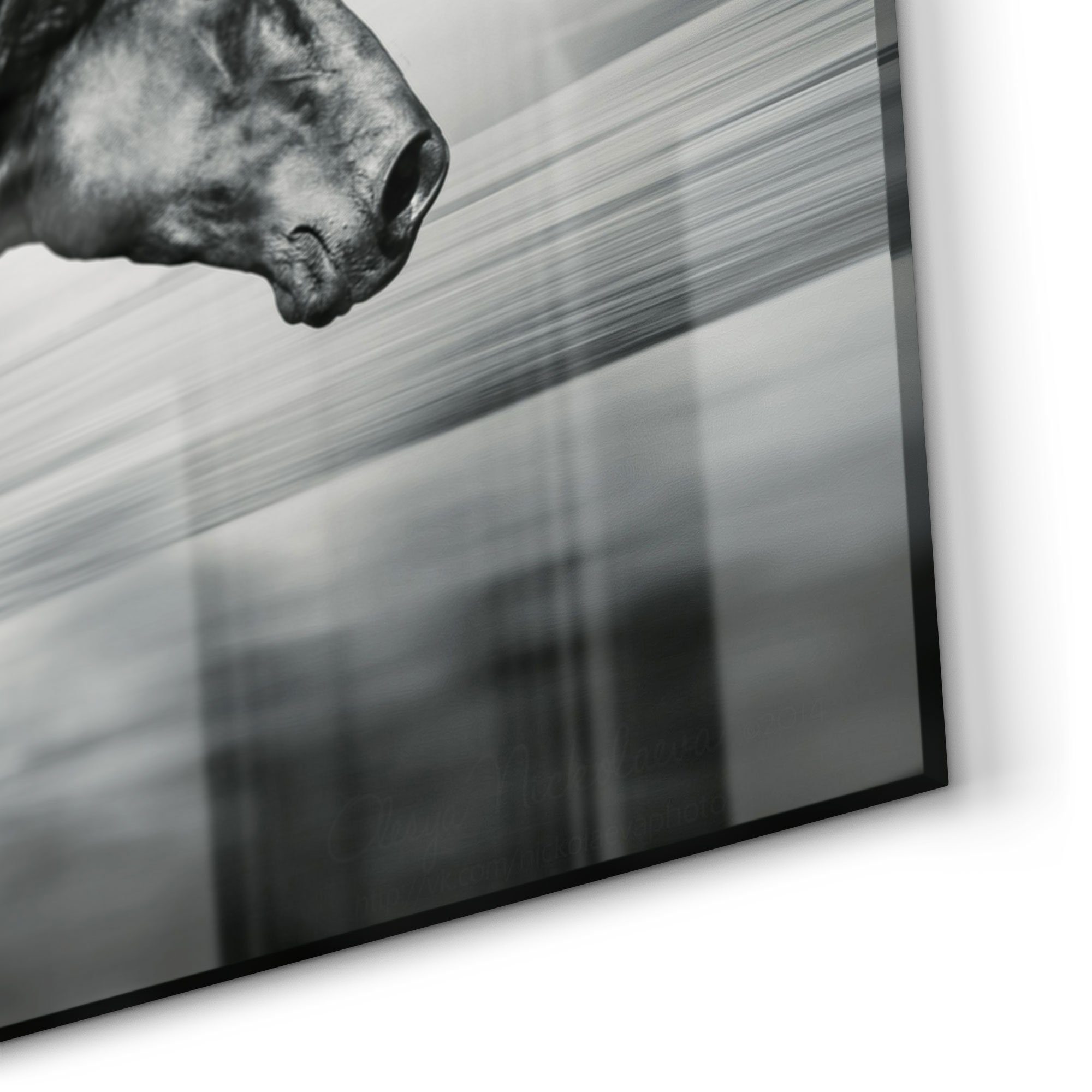 DEQORI Herdblende Glas Pferd', Küchenrückwand 'Galoppierendes Spritzschutz Badrückwand