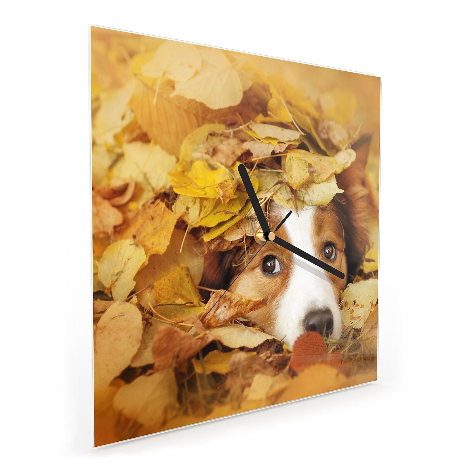 30 x mit Glasuhr Herbstblätter Primedeco Wandkunst cm Motiv Wanduhr Hund Größe Junger 30 in Wanduhr