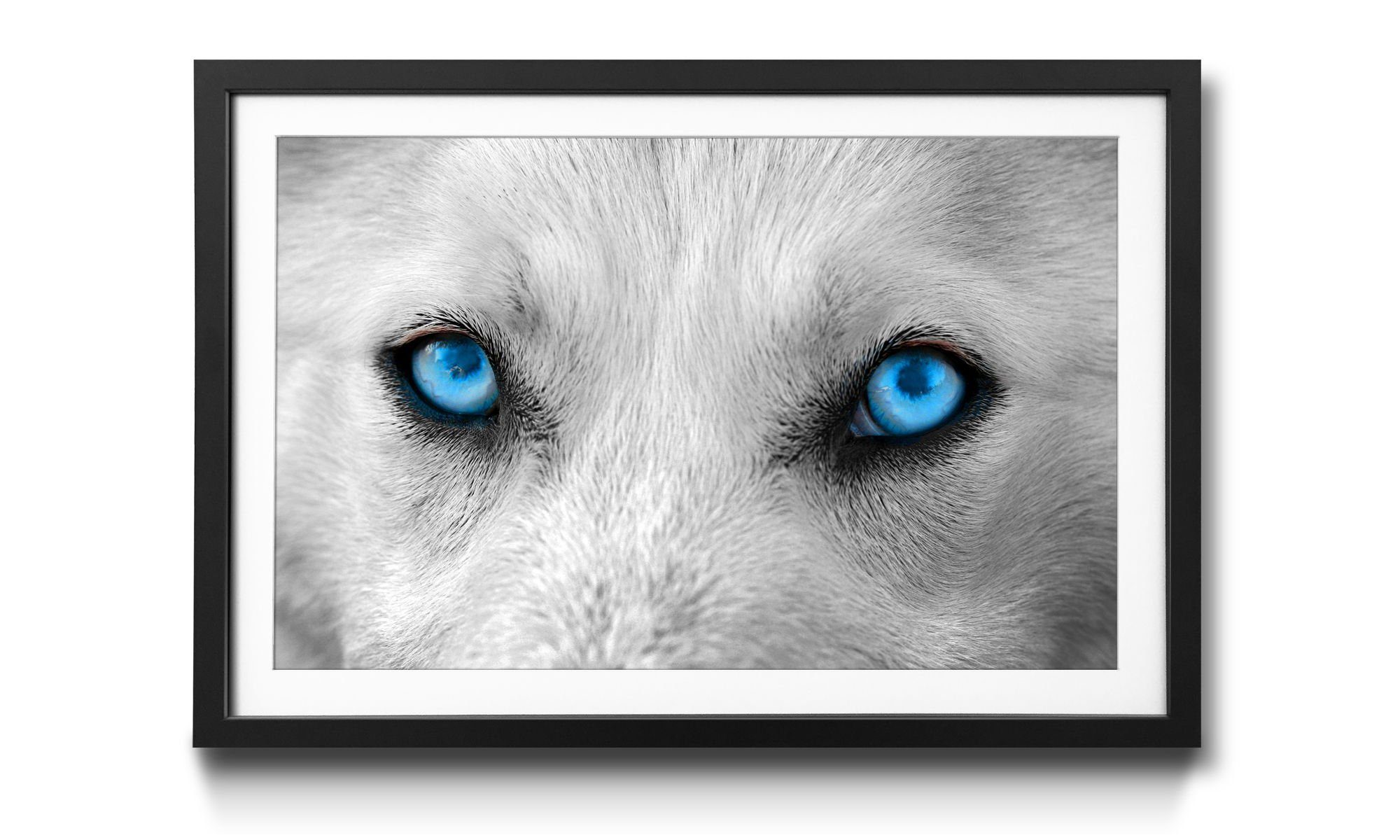 WandbilderXXL Bild mit Rahmen Faithful, Hund, Wandbild, in 4 Größen erhältlich