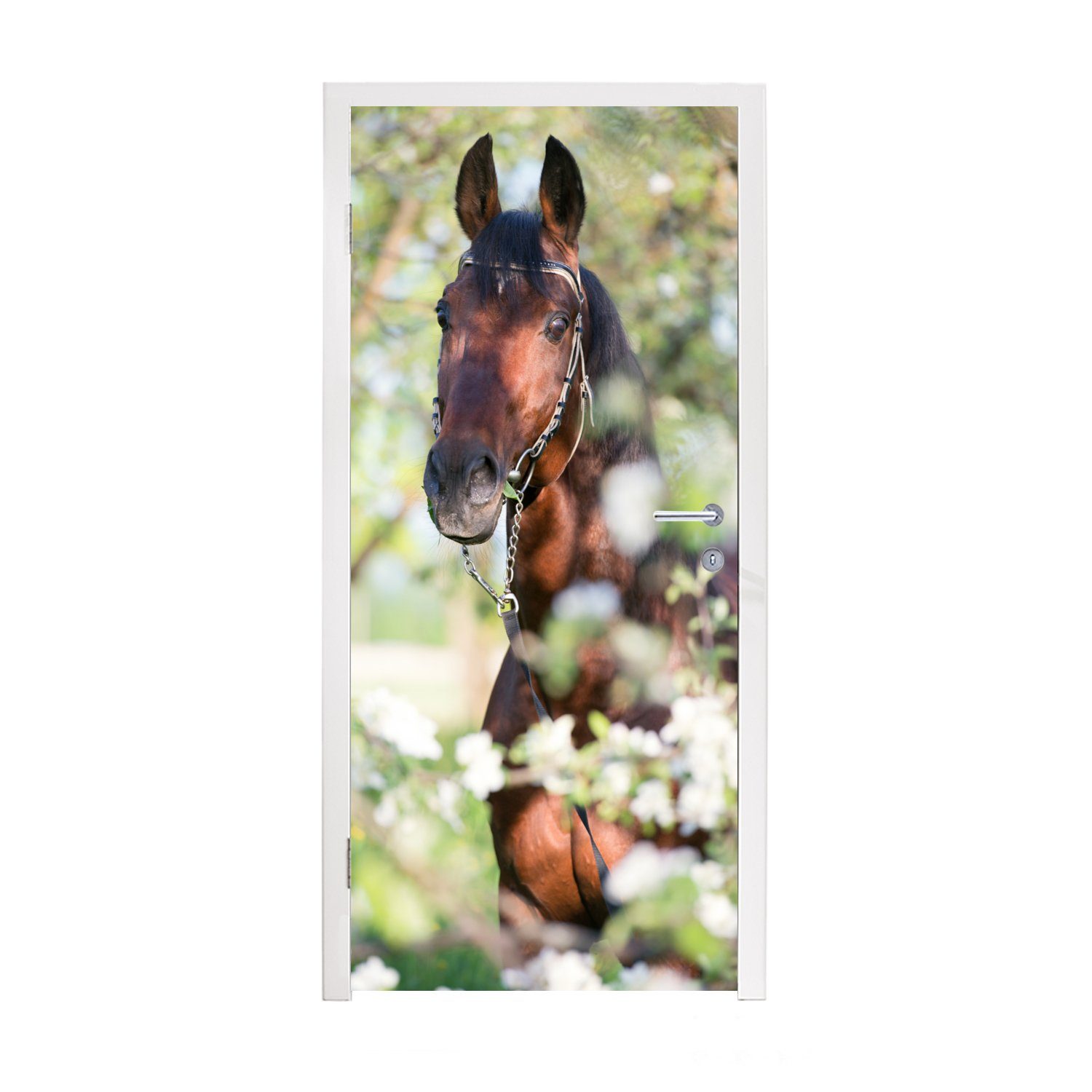 MuchoWow - - Pferde Türaufkleber, Frühling für 75x205 Türtapete - Tür, Matt, bedruckt, Fototapete (1 Blüte St), cm Tiere,