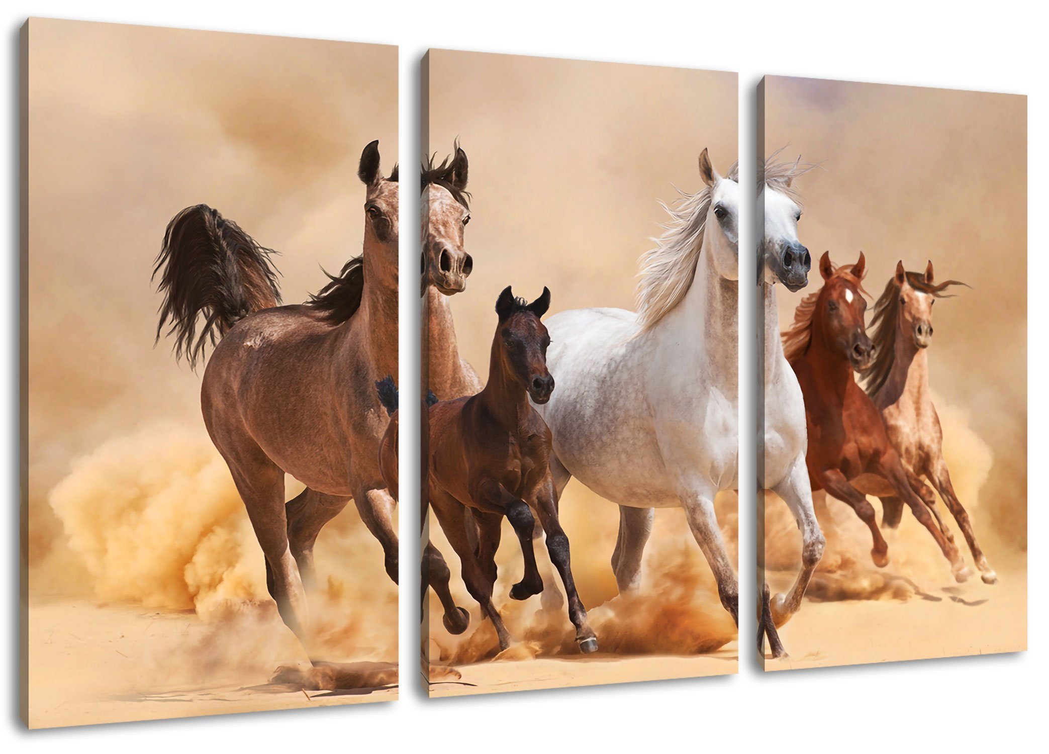 Pixxprint Leinwandbild Western Pferde mit Fohlen, Western Pferde mit Fohlen 3Teiler (120x80cm) (1 St), Leinwandbild fertig bespannt, inkl. Zackenaufhänger