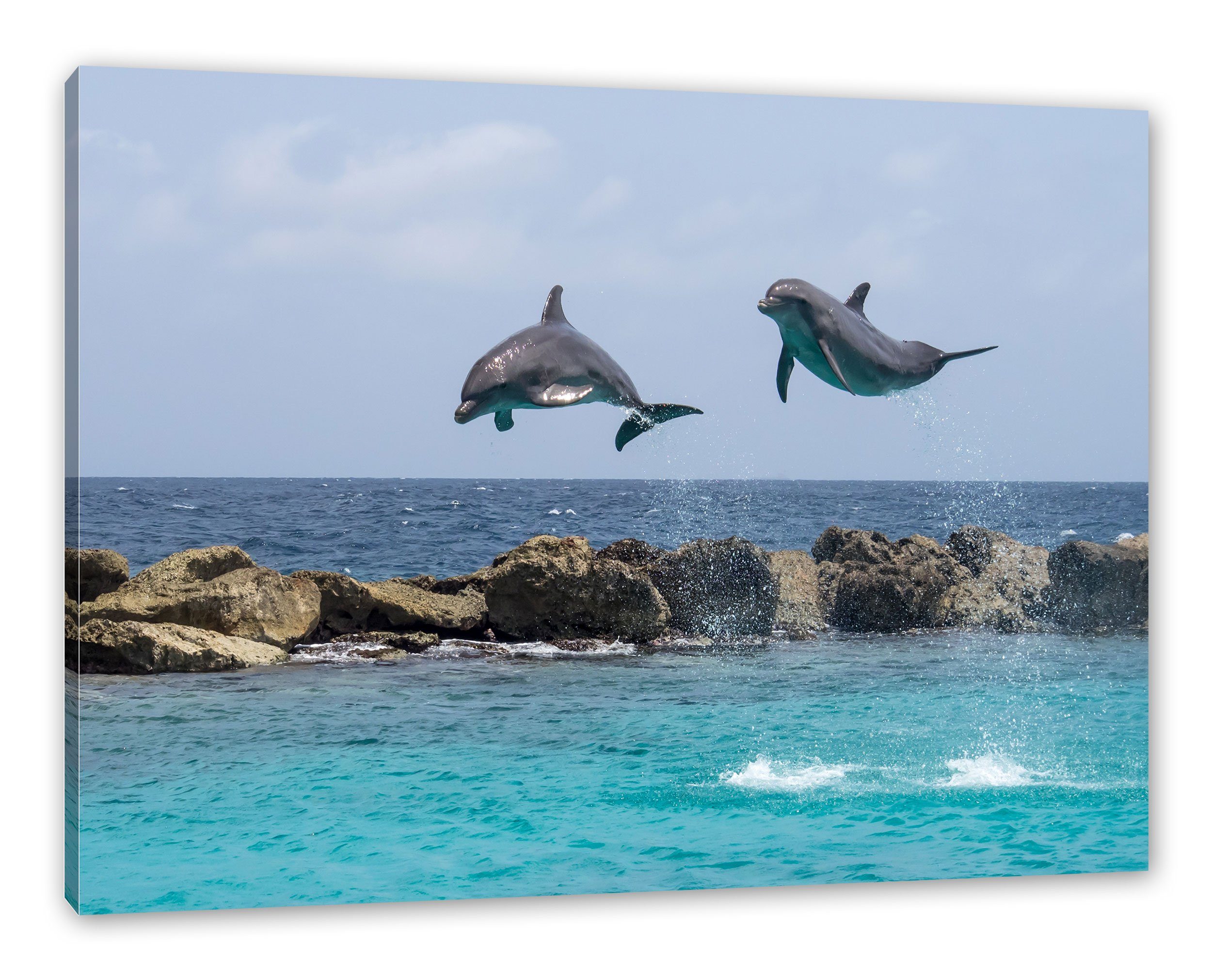 Pixxprint Leinwandbild Zackenaufhänger bespannt, springende Delphine inkl. St), (1 Delphine, Leinwandbild springende fertig