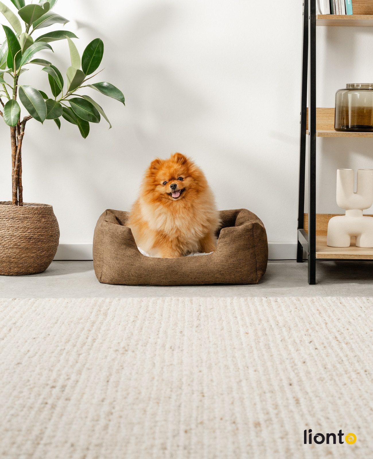 lionto Tierkissen Hundebett mit Wendekissen & günstig online kaufen