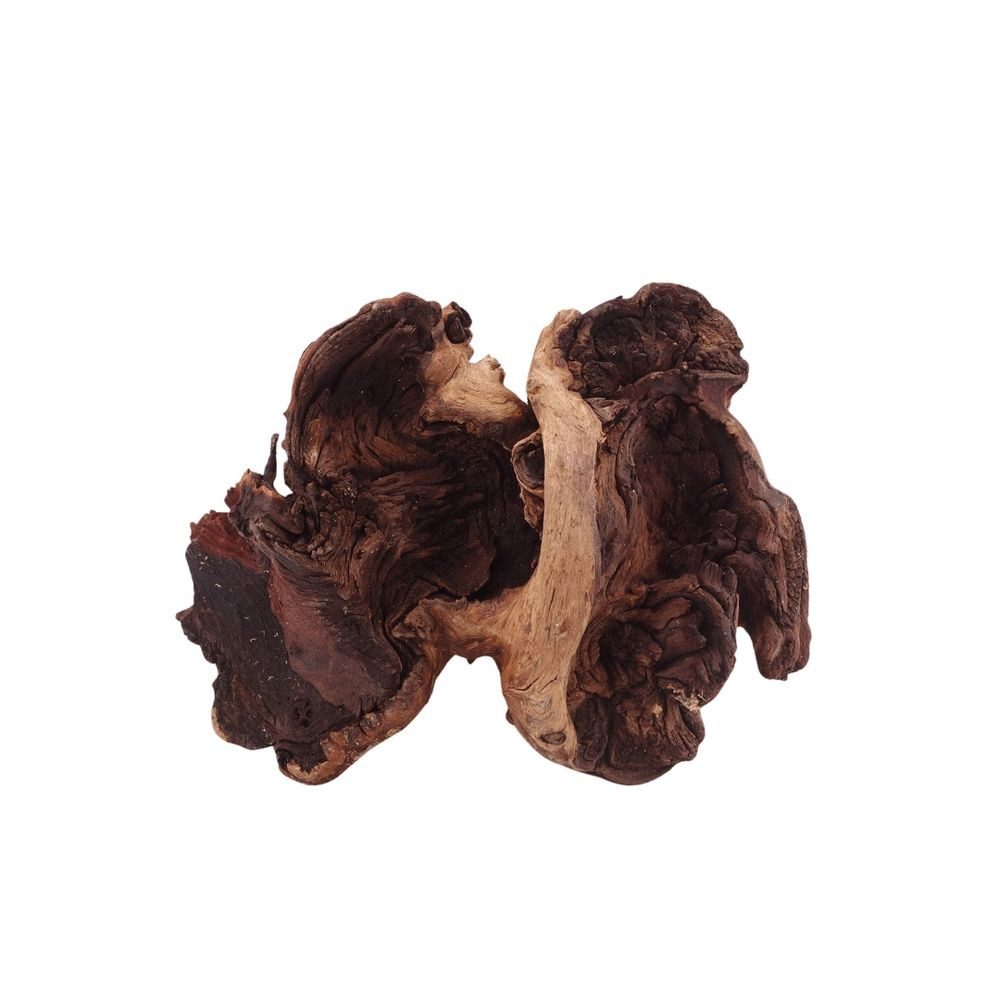 Aquaone Aquarium L Mopani Wurzel Nr.2818 Holz Deko Aquascaping