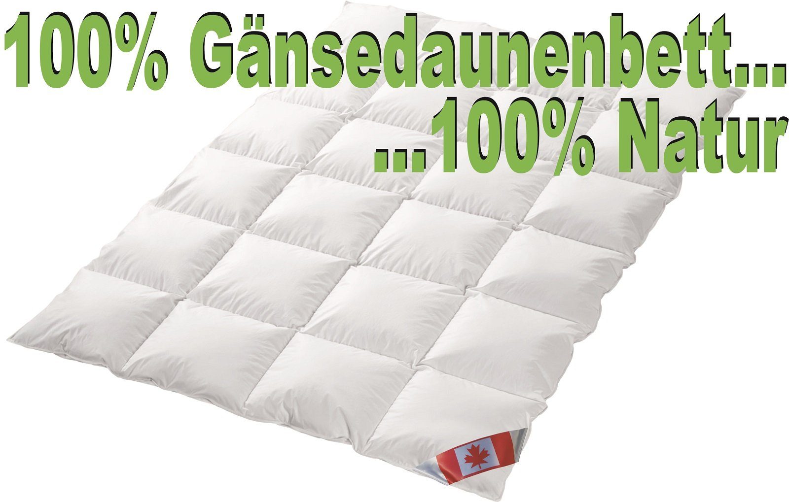 Gänsedaunen, Lieferung Bettenfachgeschäft Canada, Daunenbettdecke, direkt in Übergangsdecke 100% Premium Polaris vom Deutschland, Canada, hergestellt Natur Gänsedaune 100% Füllung: