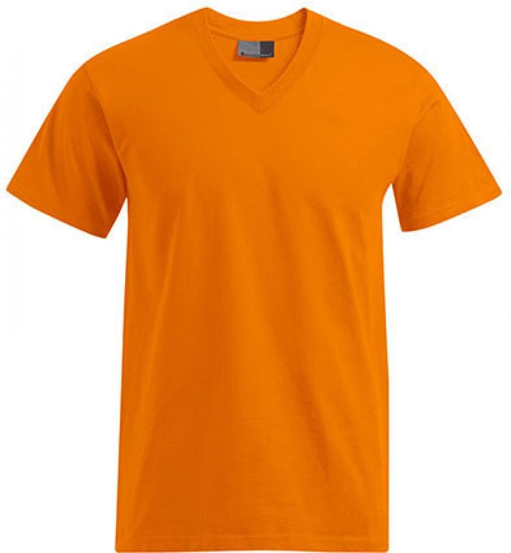 Promodoro V-Shirt Premium V-Neck Herren T-Shirt günstig online kaufen