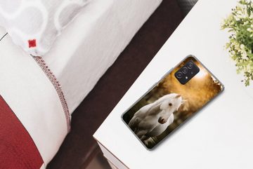 MuchoWow Handyhülle Pferd - Sonne - Herbst - Tiere - Natur, Handyhülle Telefonhülle Samsung Galaxy A33