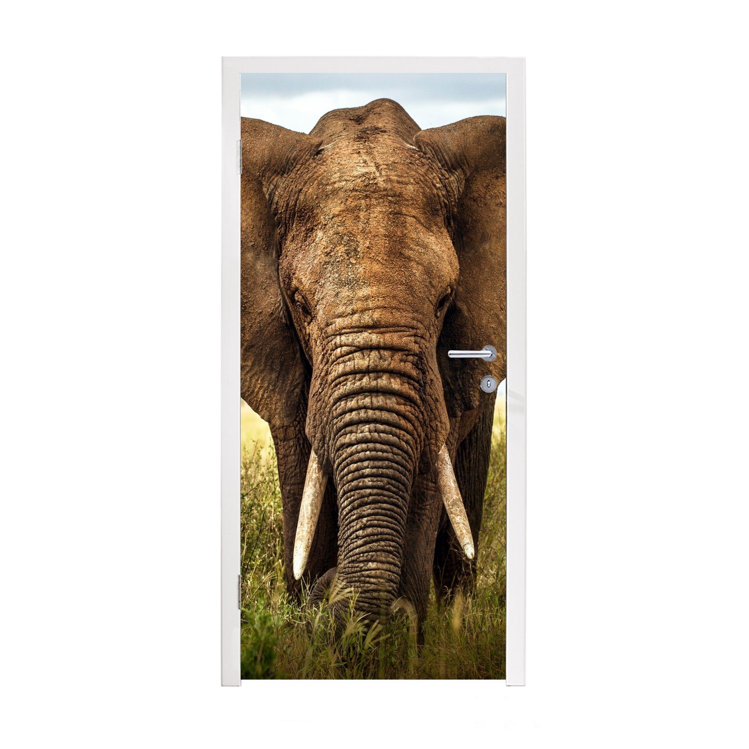 - St), Elefant Fototapete Türaufkleber, für Tiere bedruckt, (1 Natur, MuchoWow - Matt, cm Gras 75x205 - Tür, Türtapete