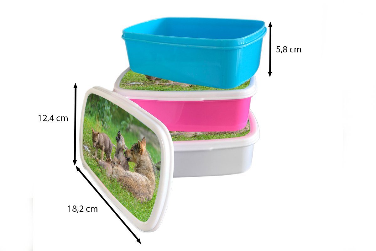 Jungtiere Gras, (2-tlg), Brotbox Kunststoff rosa Mädchen, Erwachsene, Brotdose Snackbox, MuchoWow Wolf Lunchbox - - Kunststoff, Kinder, für