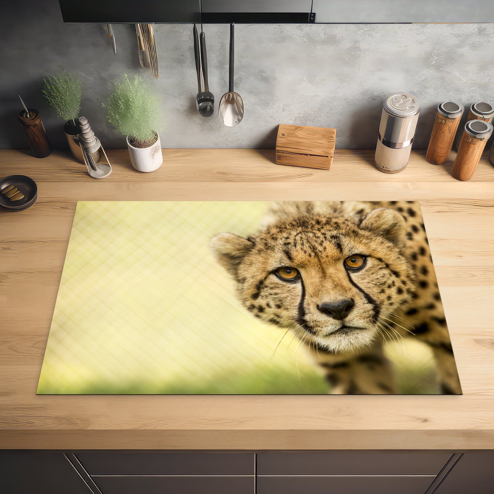 Gepard küche, für (1 MuchoWow Herdblende-/Abdeckplatte Leopard die cm, tlg), 81x52 Schutz Vinyl, Induktionskochfeld - Ceranfeldabdeckung Tier, -