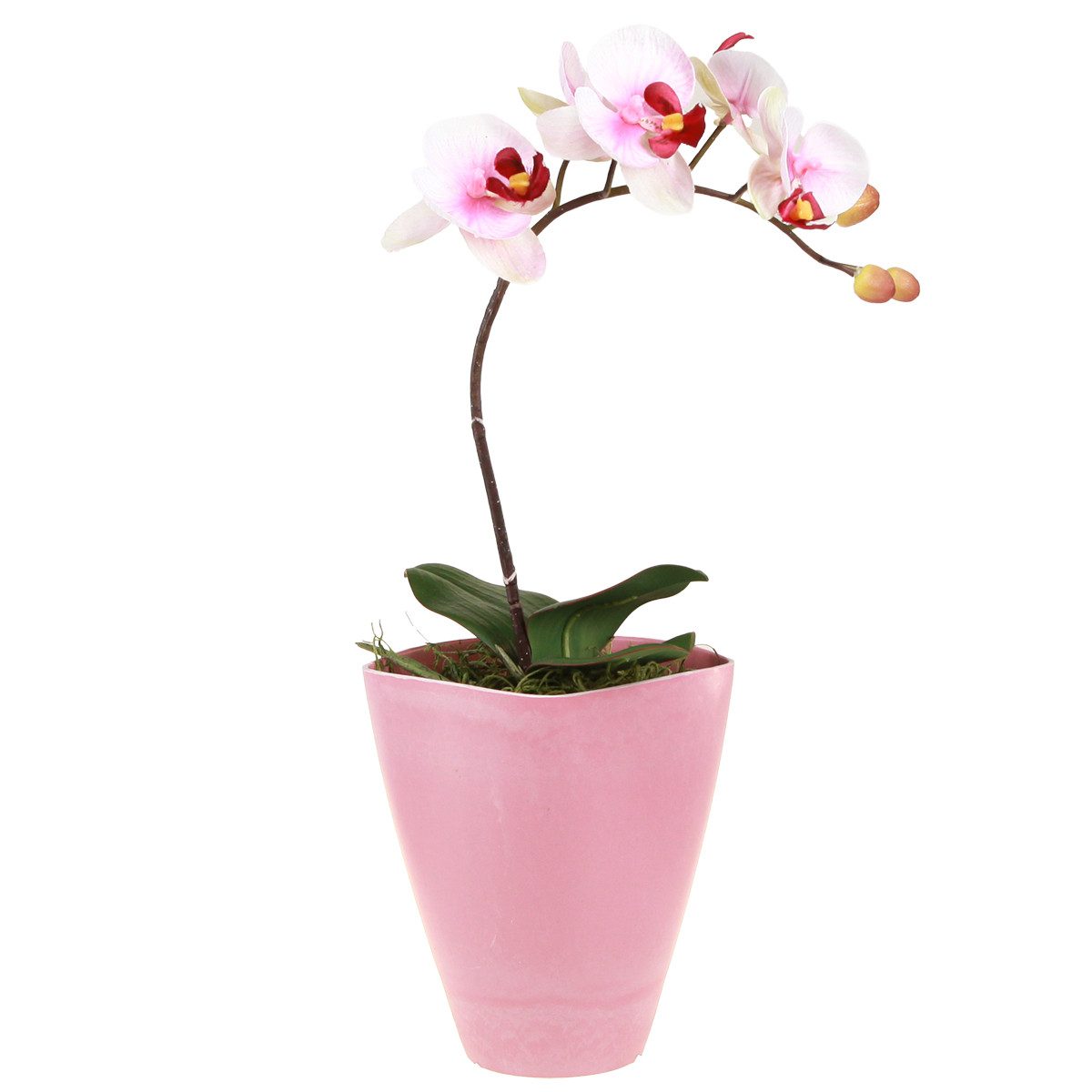 Blumentopf Plastik Blumentopf Orchideenvase Pink 4er Set Höhe 16,5cm