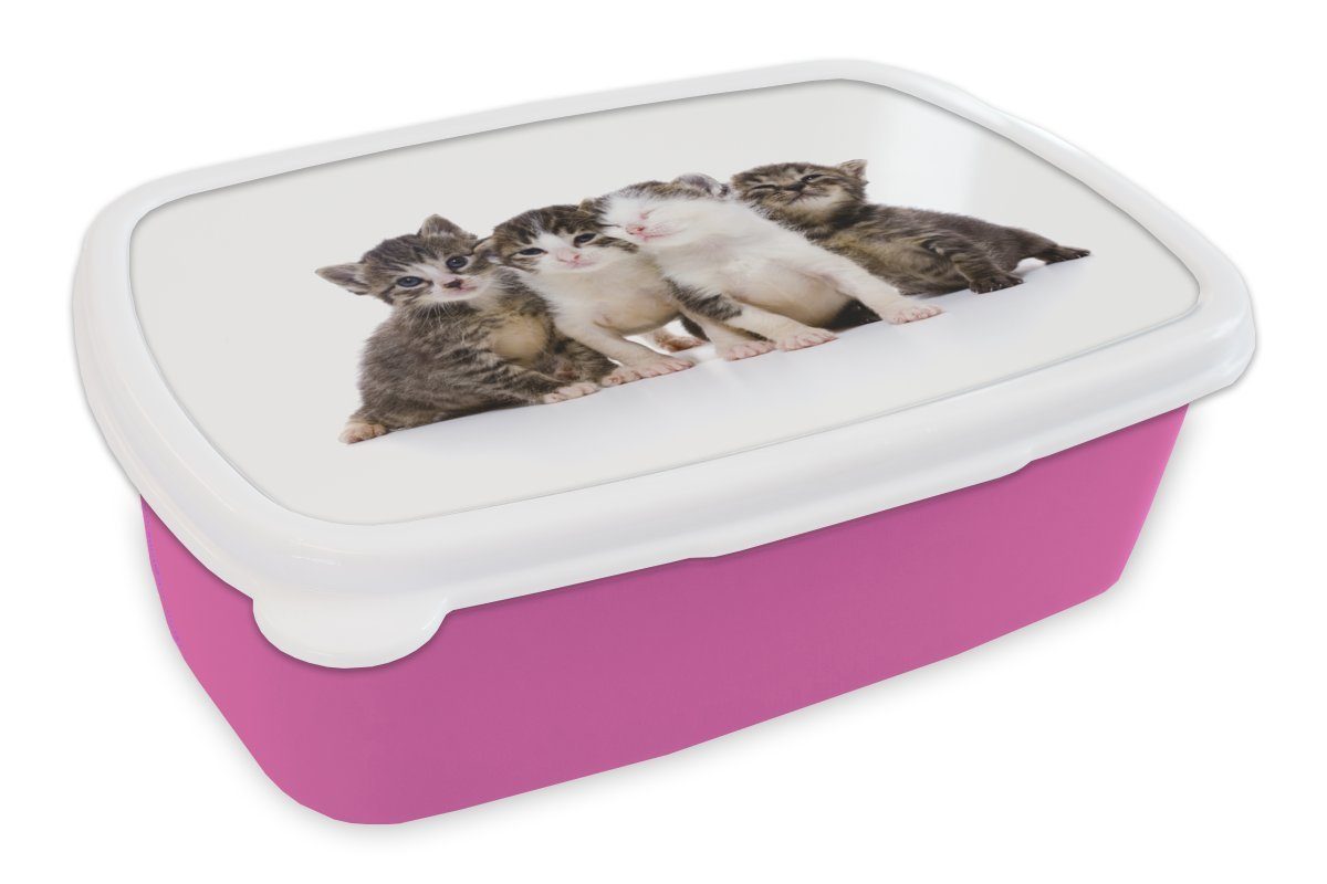 MuchoWow Lunchbox Katze - Haustiere - Fell - Porträt, Kunststoff, (2-tlg), Brotbox für Erwachsene, Brotdose Kinder, Snackbox, Mädchen, Kunststoff rosa