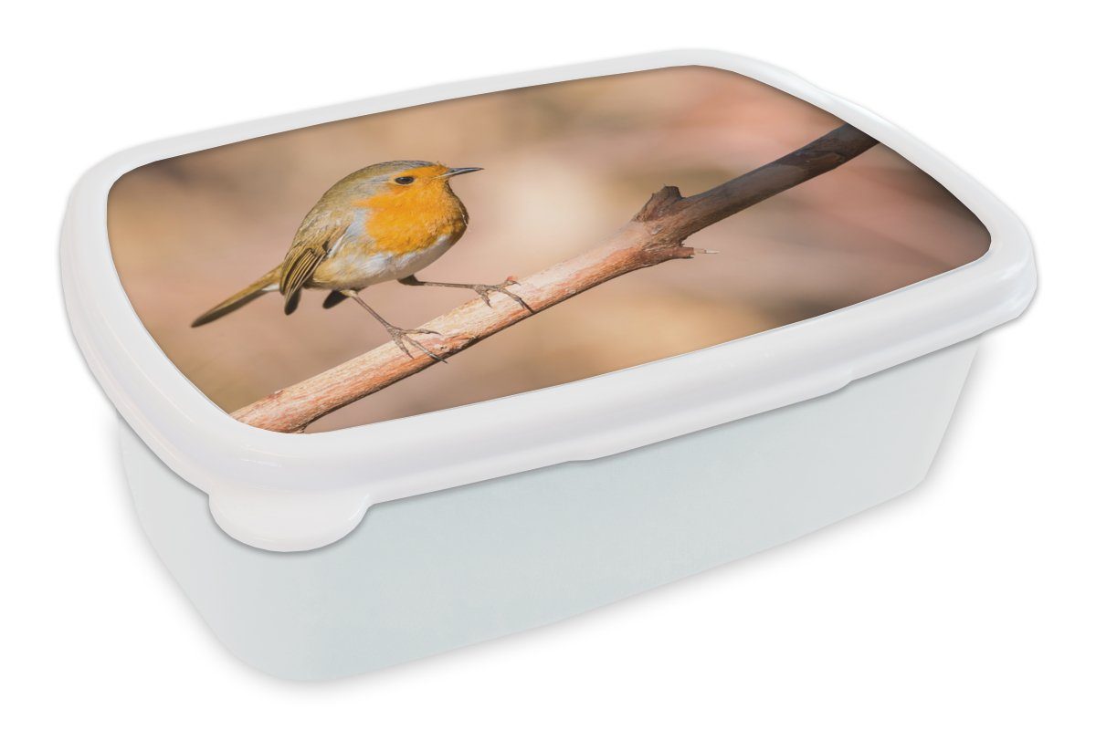 Kunststoff, (2-tlg), Brotbox weiß für Mädchen und und MuchoWow Zweig - - Jungs Erwachsene, Kinder Lunchbox Vogel für Brotdose, Rotkehlchen,