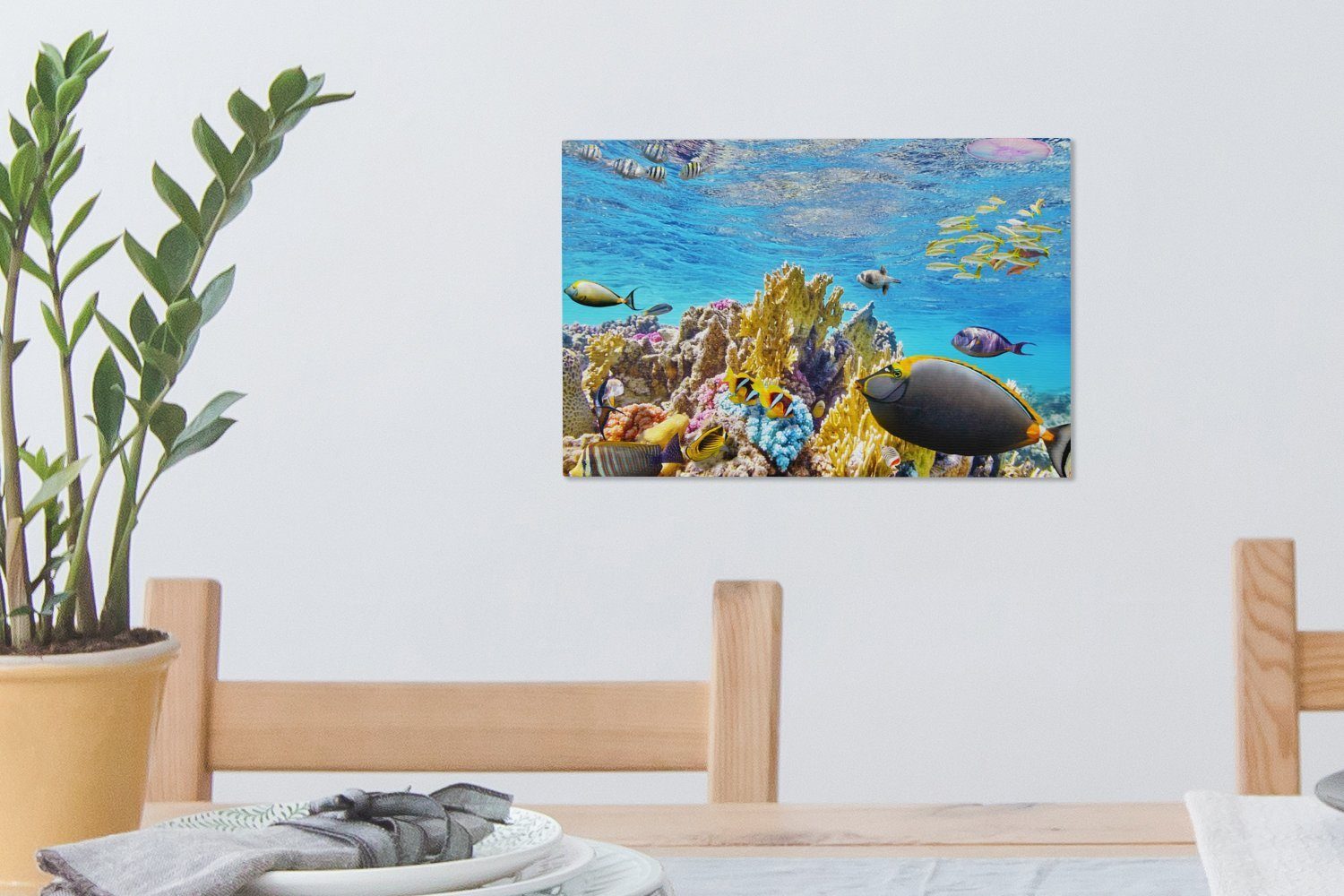 OneMillionCanvasses® Leinwandbild Bunte Korallen St), Wanddeko, (1 klarem Wasser, cm in Leinwandbilder, 30x20 Aufhängefertig, Wandbild