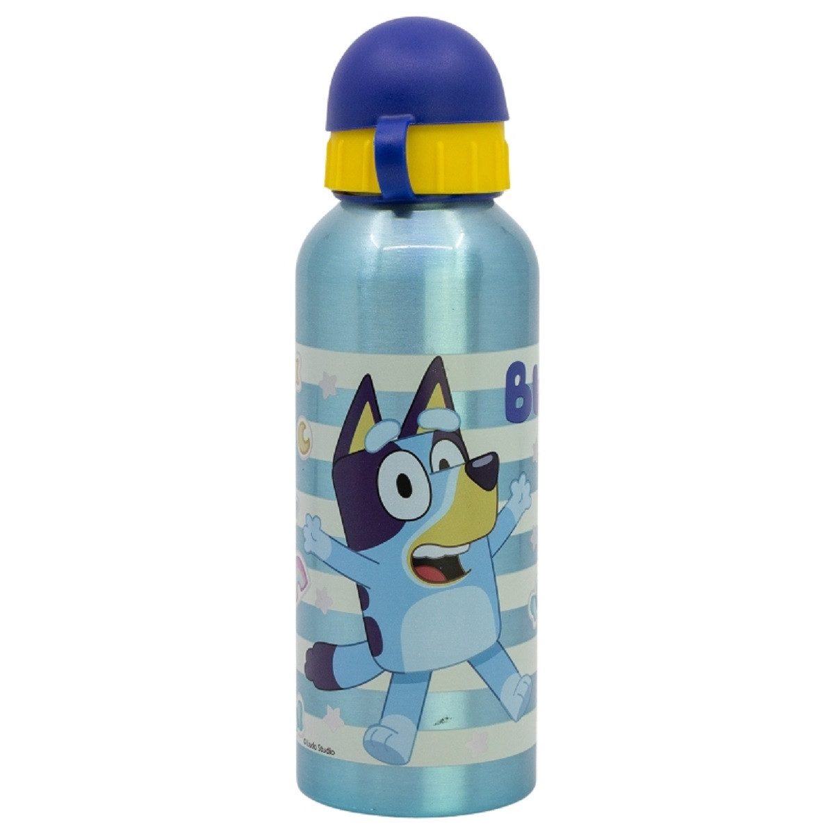 Bluey Trinkflasche Aluminium Trinkflasche 530 ml – Kinderflasche für Schule & Freizeit