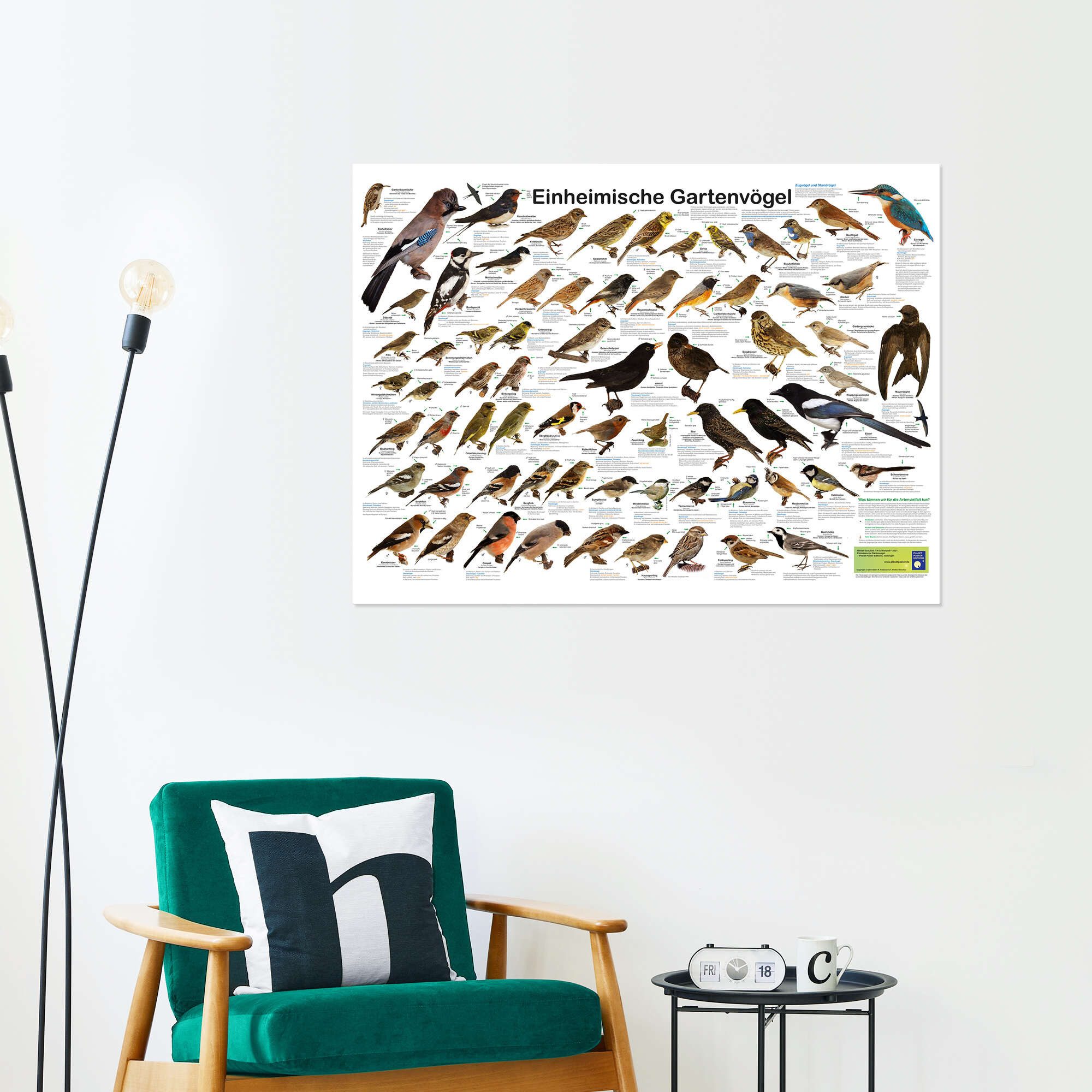 Posterlounge Wandbild Einheimische Gartenvögel, Planet Poster Editions, erhältlich als Poster, Leinwandbild, Wandsticker oder Acrylglasbild – Bild 4 von 5