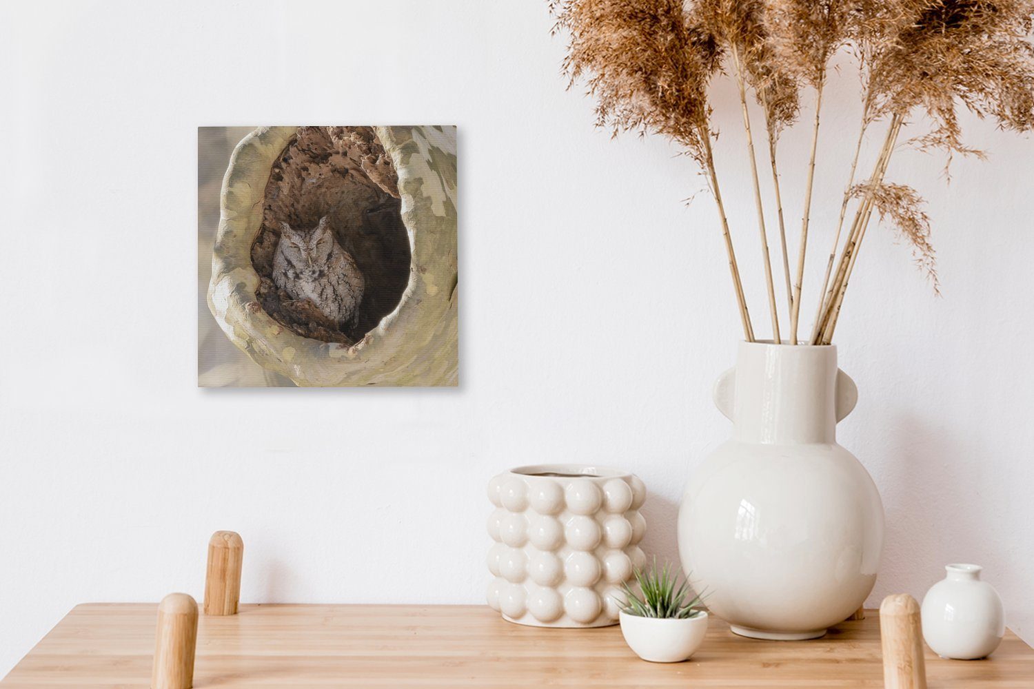 Bilder in (1 hohlen Wohnzimmer für Leinwand OneMillionCanvasses® Steinkauz rastet einem Schlafzimmer St), Baum, Leinwandbild