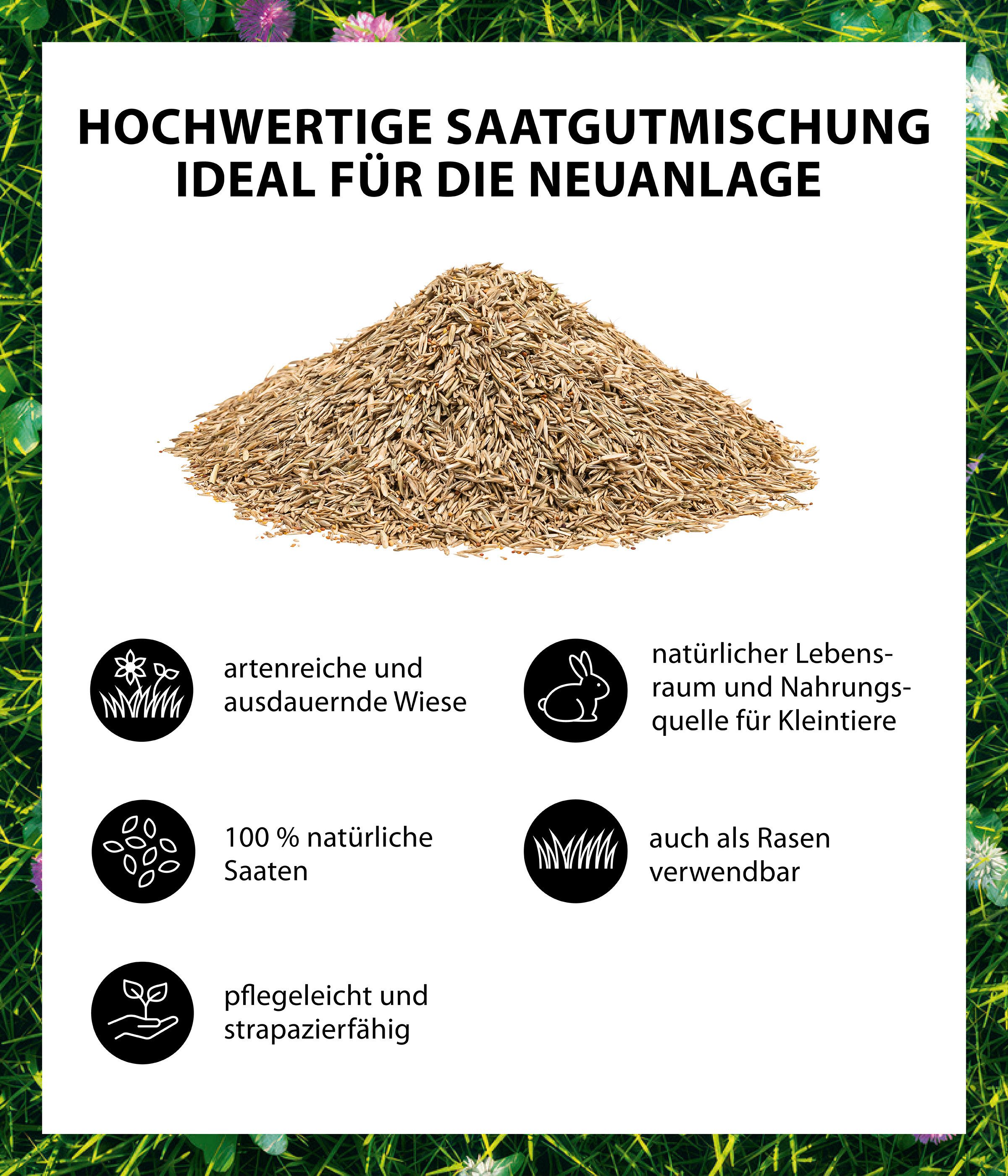 Dehner Rasensamen Bio Saatgut Naturwiese, insektenfreundlich, pflegeleicht, 250 g, 25 m², strapazierfähig, für naturnahe Gärten, lebendige Naturflächen