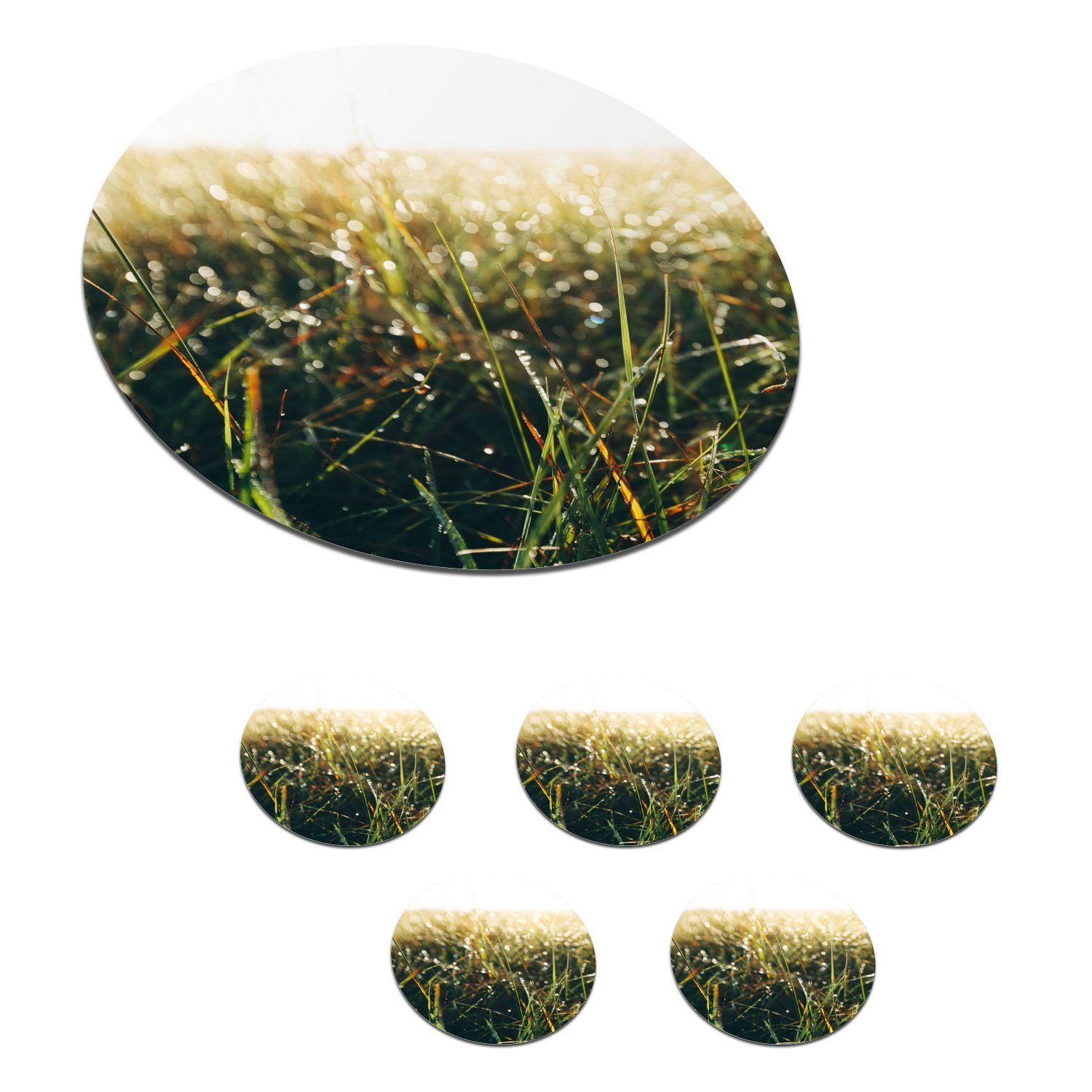 MuchoWow Glasuntersetzer Rasenfläche - Pampasgras, Zubehör für Gläser, 6-tlg., Getränkeuntersetzer, Tassenuntersetzer, Korkuntersetzer, Tasse, Becher