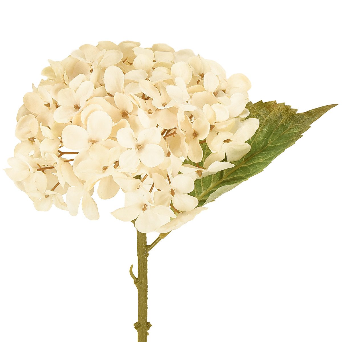 Kunstblume Deko Hortensien Creme 34cm 2St Kunstblumen Seidenblumen, 2 Stück, Florists Products, Höhe 34 cm