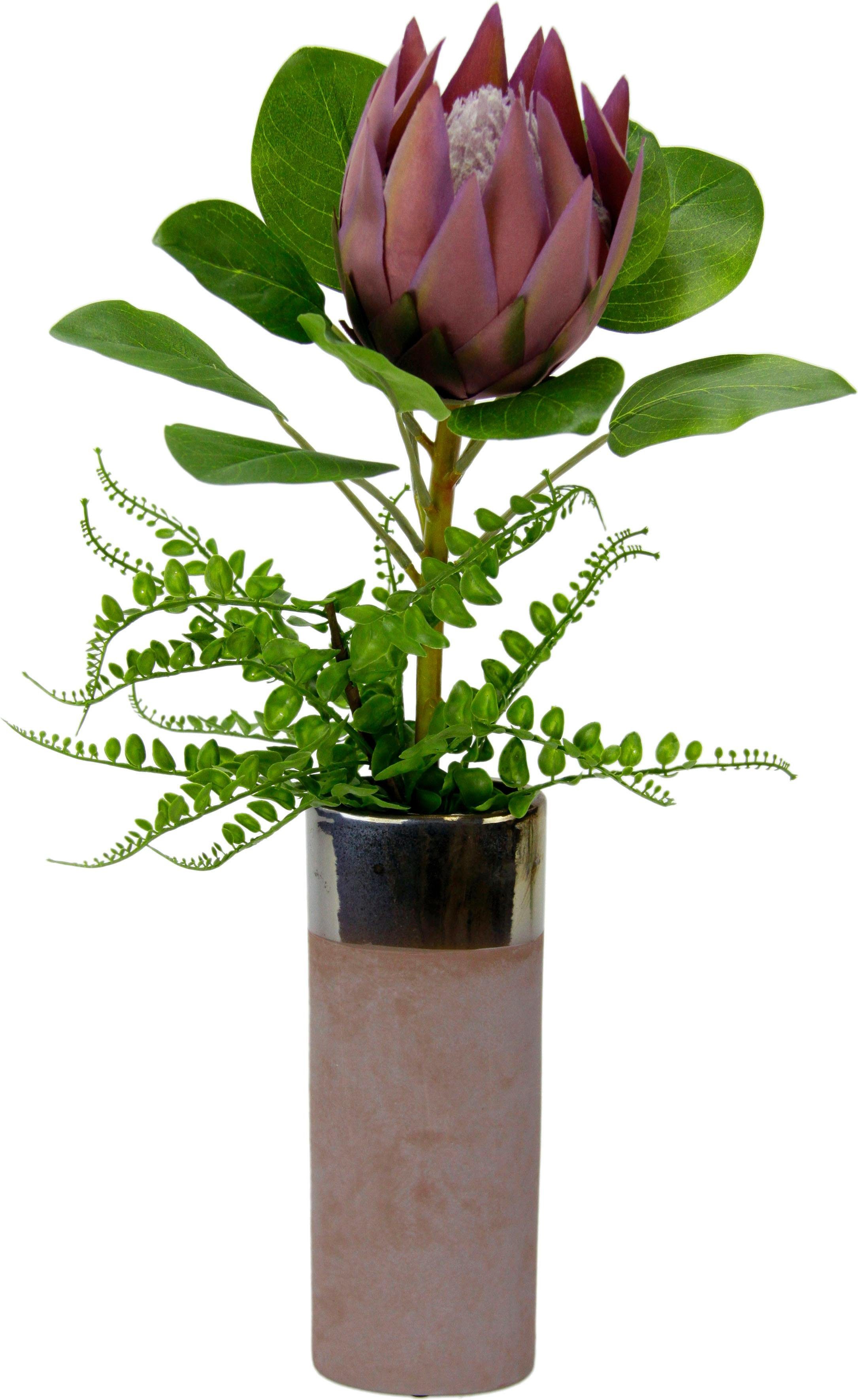Kunstpflanze Protea, I.GE.A., Höhe 56 cm