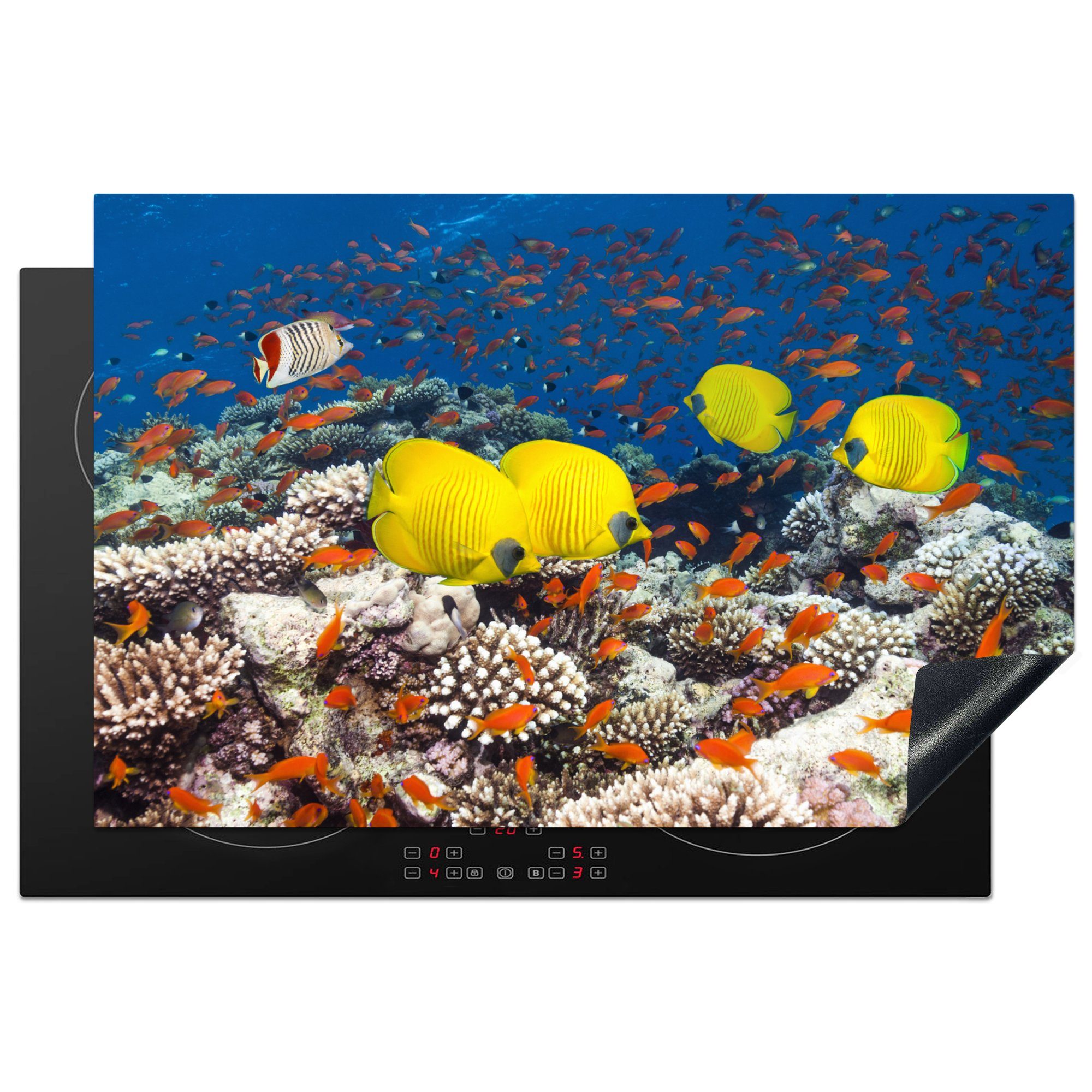 MuchoWow Herdblende-/Abdeckplatte Gelbe Fische schwimmen über Hartkorallen im Roten Meer, Vinyl, (1 tlg), 81x52 cm, Induktionskochfeld Schutz für die küche, Ceranfeldabdeckung