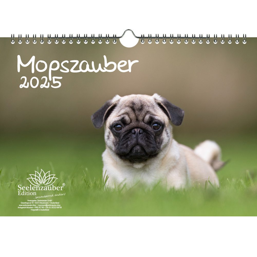 Seelenzauber Wandkalender Mopszauber DIN A4 Kalender für 2025 Mops 