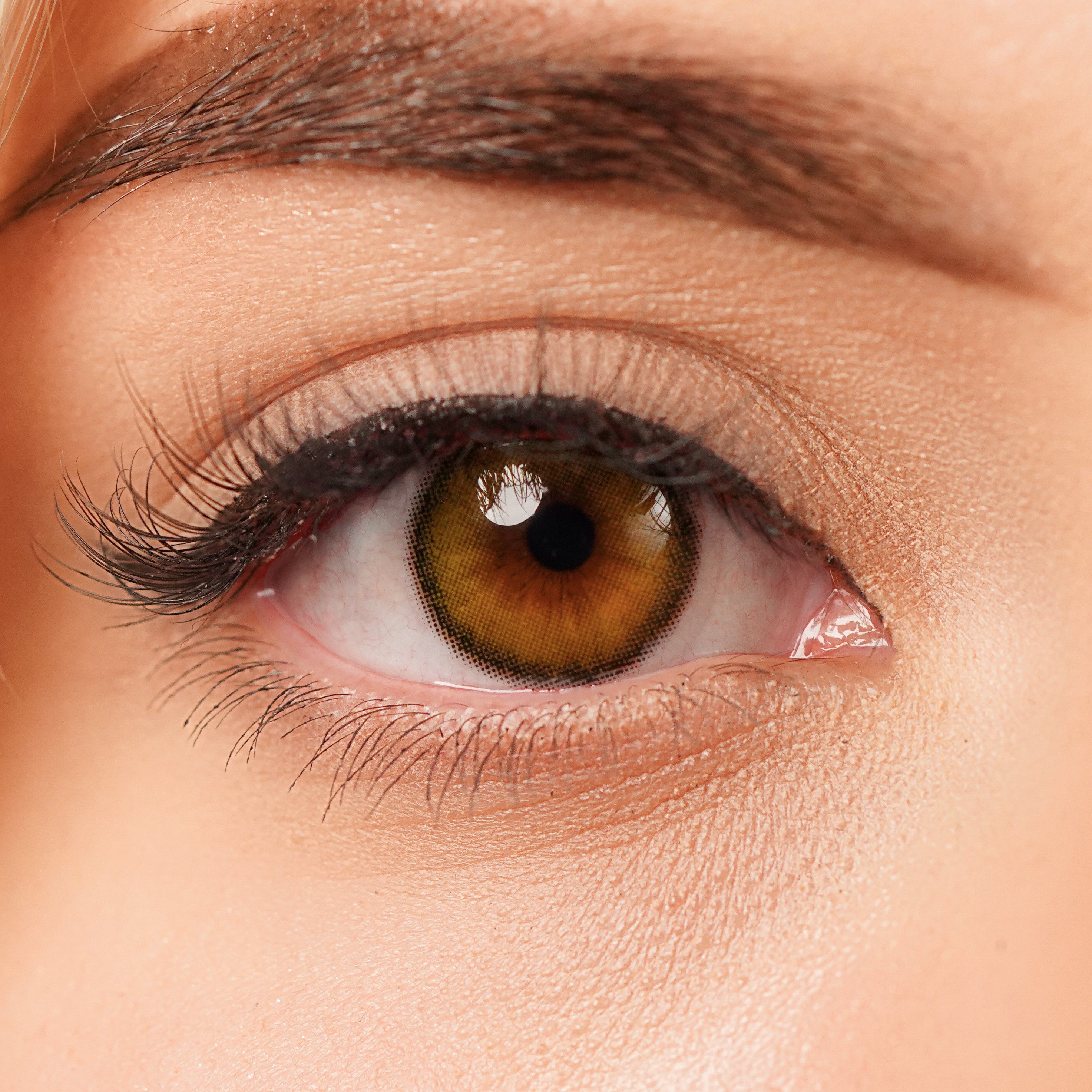 Charmiga Jahreslinsen Farbige Kontaktlinsen Grün, 6-Monatslinsen, City Green, Farbige Kontaktlinsen