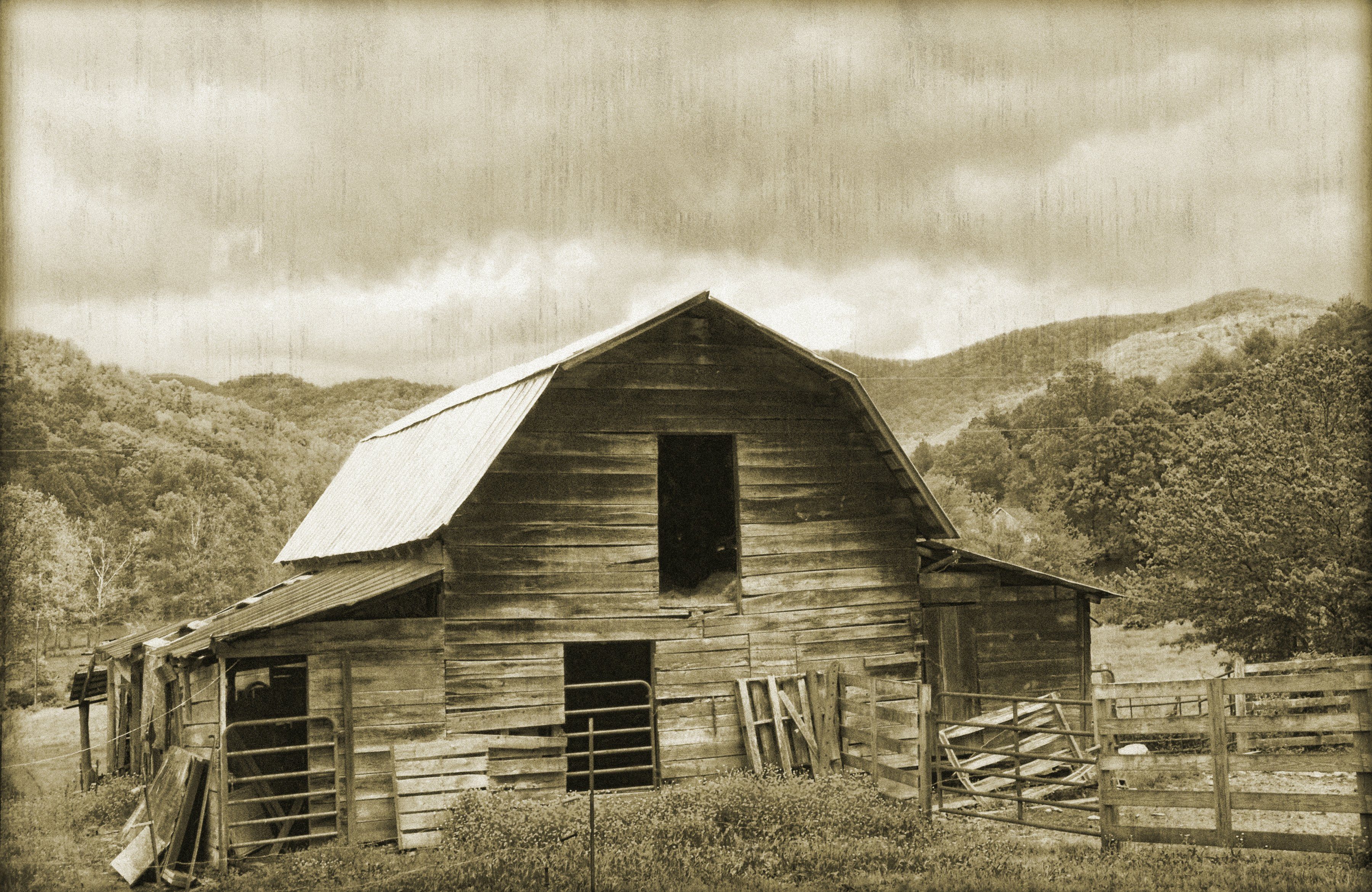 Papermoon Fototapete VINTAGE-NATUR LANDSCHAFT SCHWARZ WANDBILD WEIßBÄUME