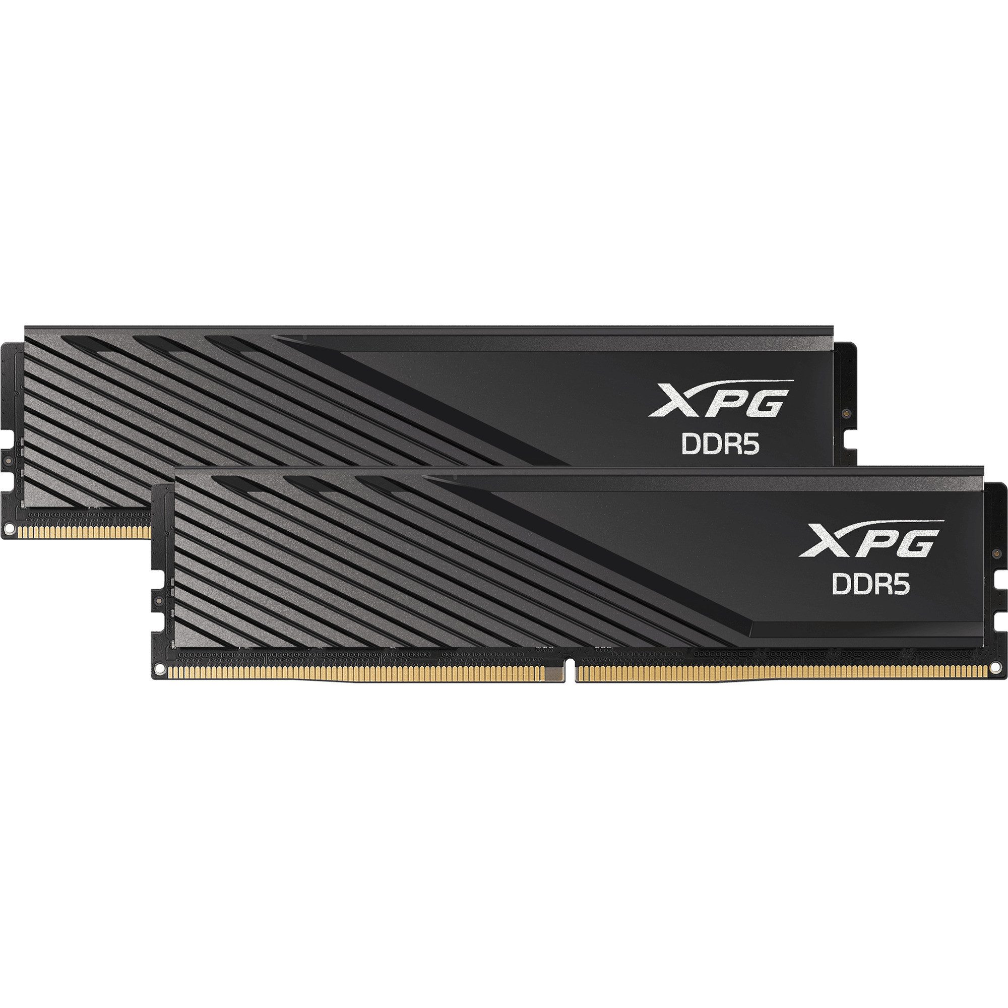 ADATA ADATA DIMM 32 GB DDR5-6000 (2x 16 GB) Dual-Kit, Arbeitsspeicher