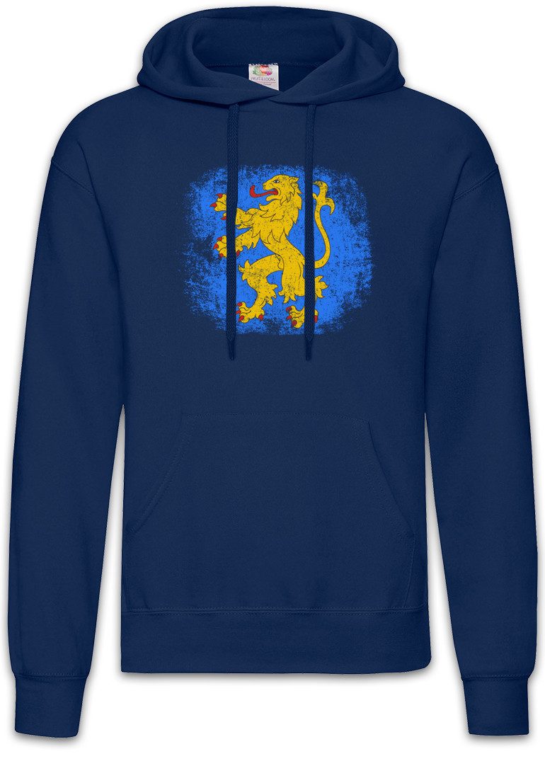 Hoodie Sheldon Appartment Flag Lion Herren Hoodie Big Geek Flagge Bang Freak