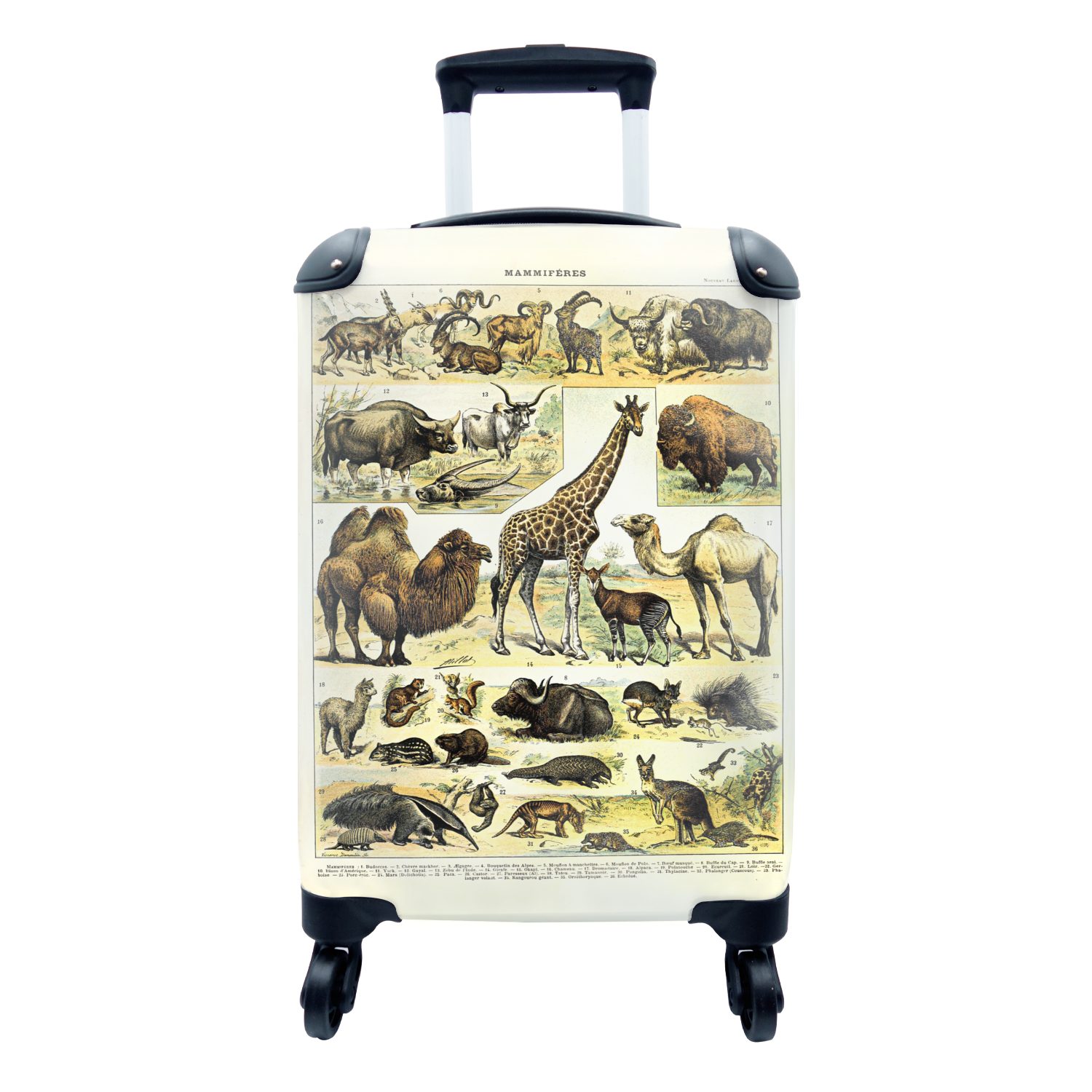 MuchoWow Handgepäckkoffer Tiere - Giraffe - Kamel, 4 Rollen, Reisetasche mit rollen, Handgepäck für Ferien, Trolley, Reisekoffer